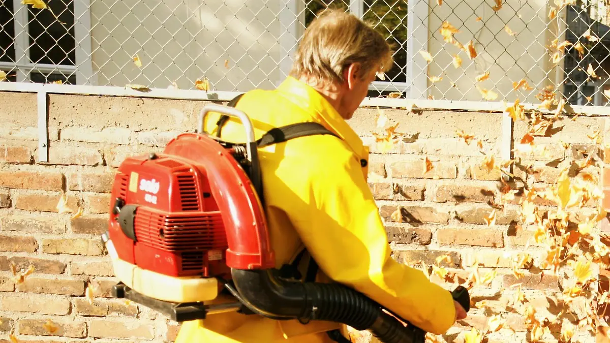 Ein Mann benutzt einen Laubbläser oder Laubpuster, der oft fälschlicherweise auch Laubstaubsauger genannt wird, um braune Blätter zu einem Haufen zusammenzutreiben, an einem sonnigen Tag im Herbst, im Oktober 2008 in Frankfurt am Main. Foto: Wolfram Steinberg +++(c) dpa - Report+++ | Verwendung weltweit