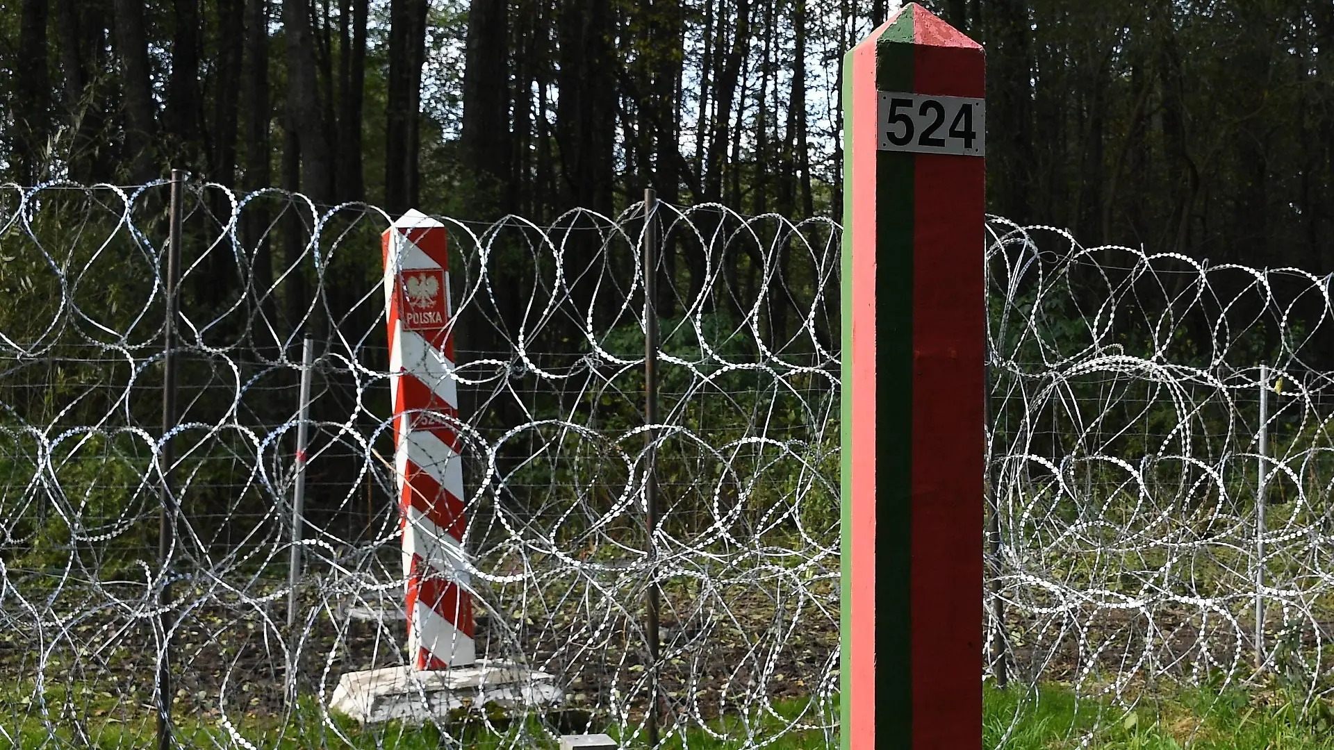 Belarus Poland Border Refugees 6662792 29.09.2021 Barbed wire is seen installed between boundary pillars on the border between Belarus and Poland near the village of Usnarz Dolny, Belarus. In recent months, Latvia, Lithuania and Poland have reported an influx of undocumented migrants trying to cross into the EU from Belarus and accused Minsk of facilitating illegal migration to destabilize the bloc in retaliation for sweeping sanctions. Viktor Tolochko / Sputnik Usnarz Dolny Belarus PUBLICATIONxINxGERxSUIxAUTxONLY Copyright: xViktorxTolochkox