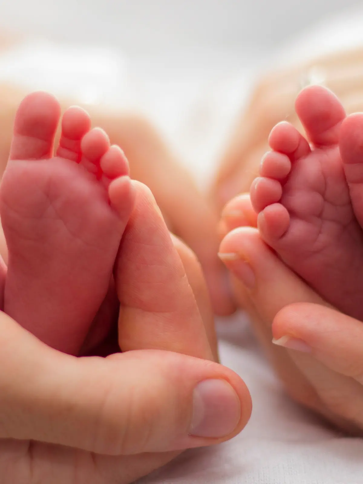 Portrait showing parents' hands and babies' feet.