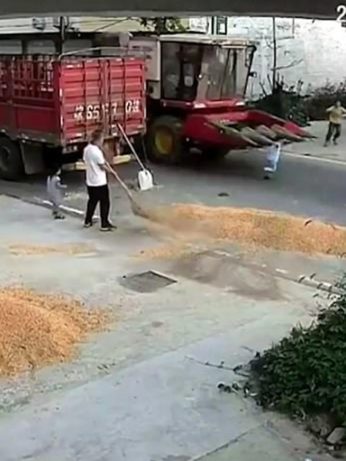 Ein Junge wird im chinesischen Bozhou von einem Mähdrescher überrollt - er überlebt wie durch ein Wunder mit Schrammen!