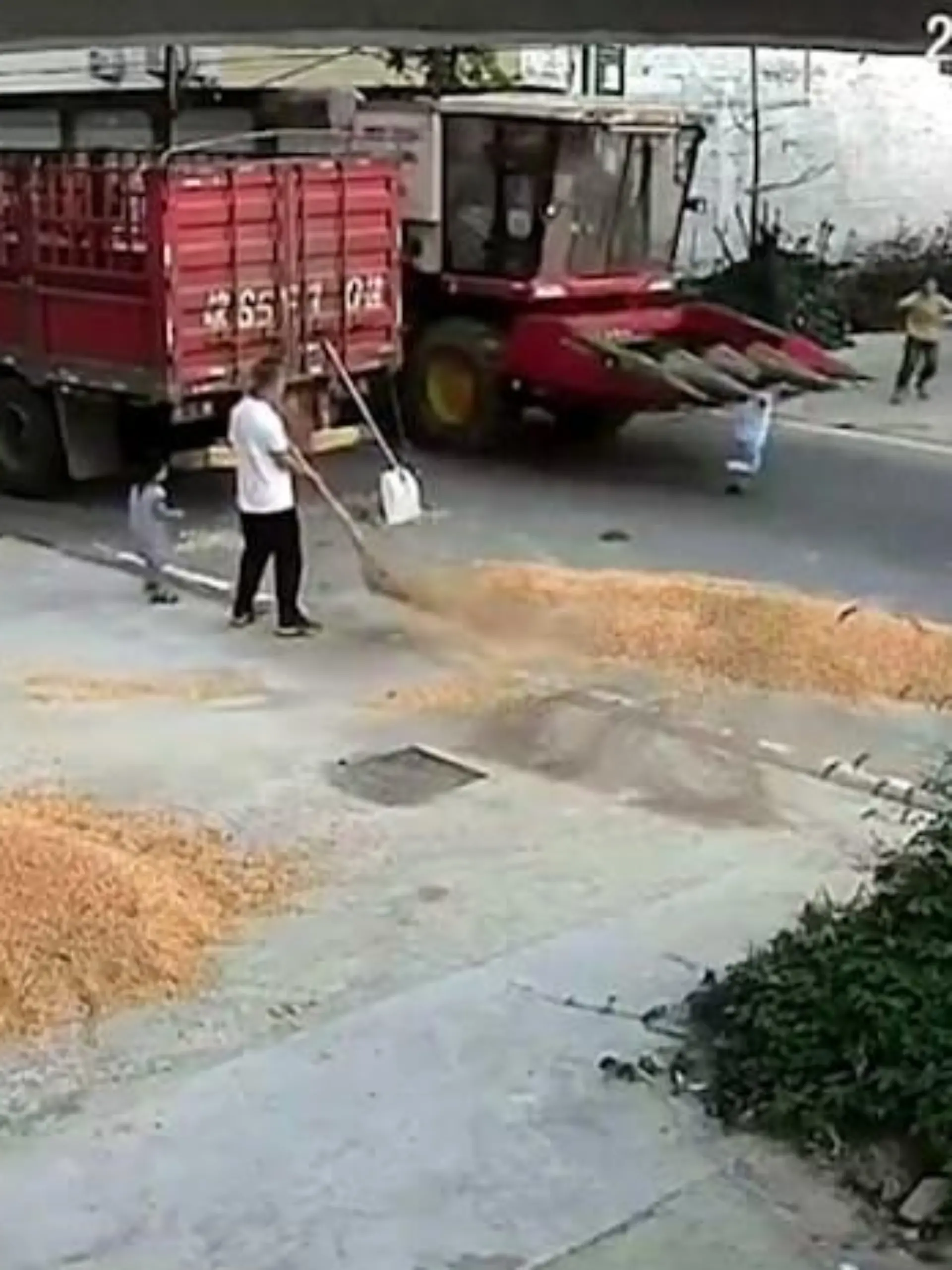 Ein Junge wird im chinesischen Bozhou von einem Mähdrescher überrollt - er überlebt wie durch ein Wunder mit Schrammen!