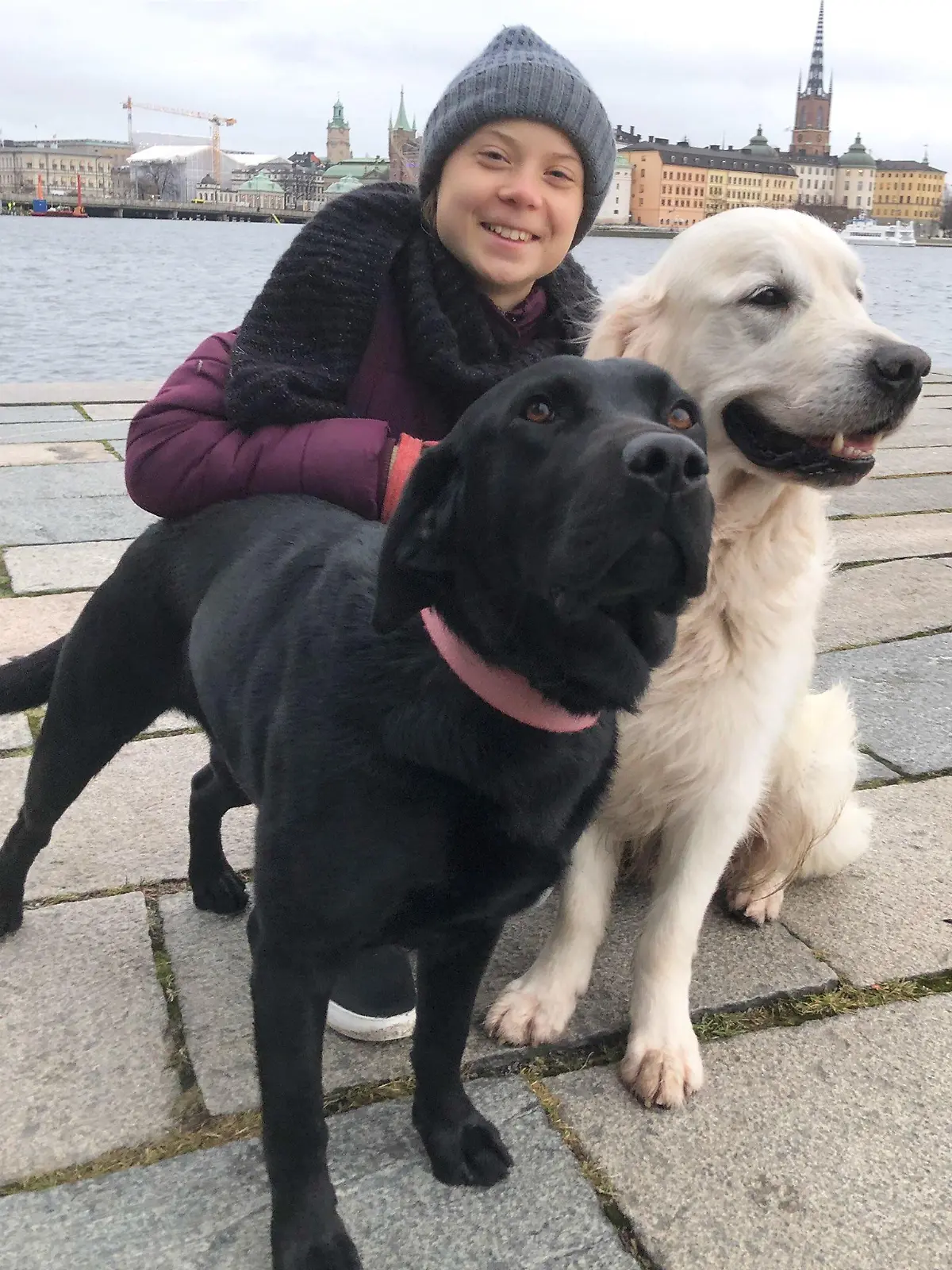 Greta Thunberg und ihre Hunde Roxy (l.) und Moses (r.).