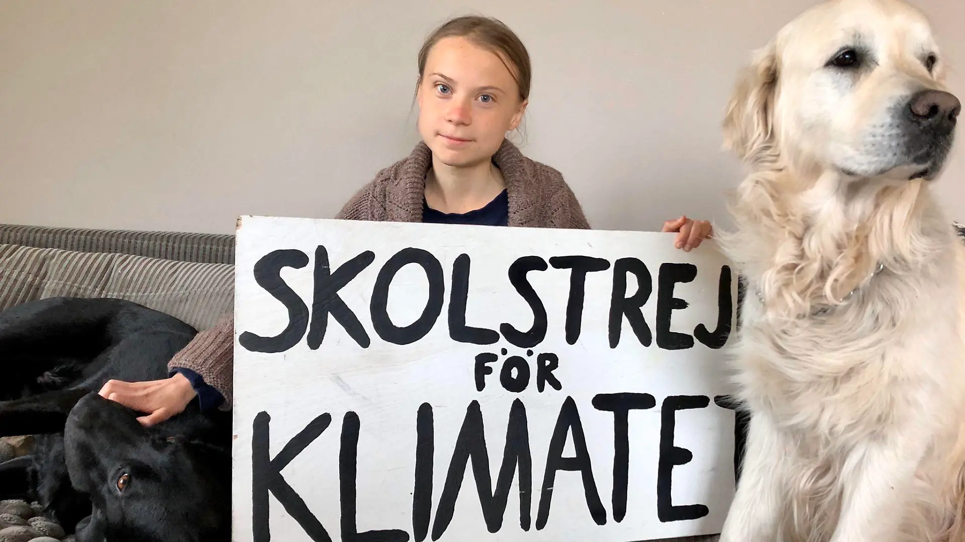 Greta Thunberg wird von ihren beiden Hunden Roxy (l.) und Moses (r.) bei ihrem Auszug begleitet.