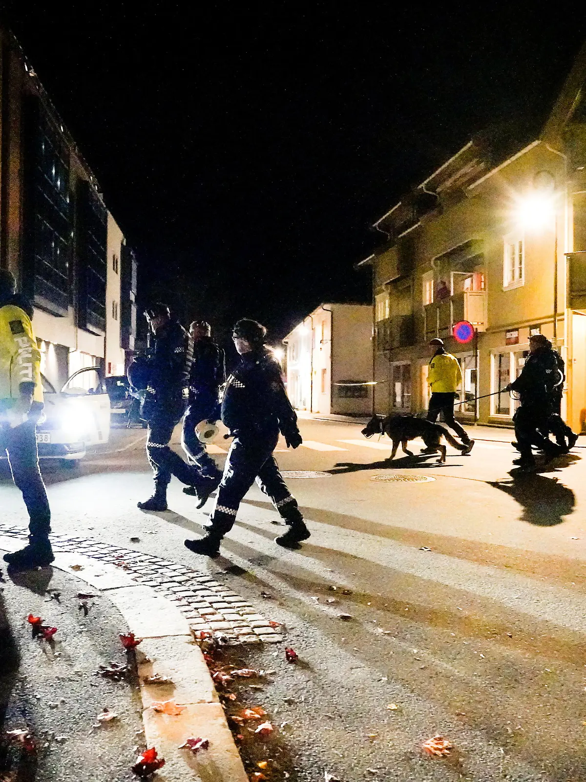 Police officers investigate after several people were killed and others were injured by a man using a bow and arrows to carry out attacks, in Kongsberg, Norway, October 13, 2021. Hakon Mosvold/NTB/via REUTERS   ATTENTION EDITORS - THIS IMAGE WAS PROVIDED BY A THIRD PARTY. NORWAY OUT. NO COMMERCIAL OR EDITORIAL SALES IN NORWAY.