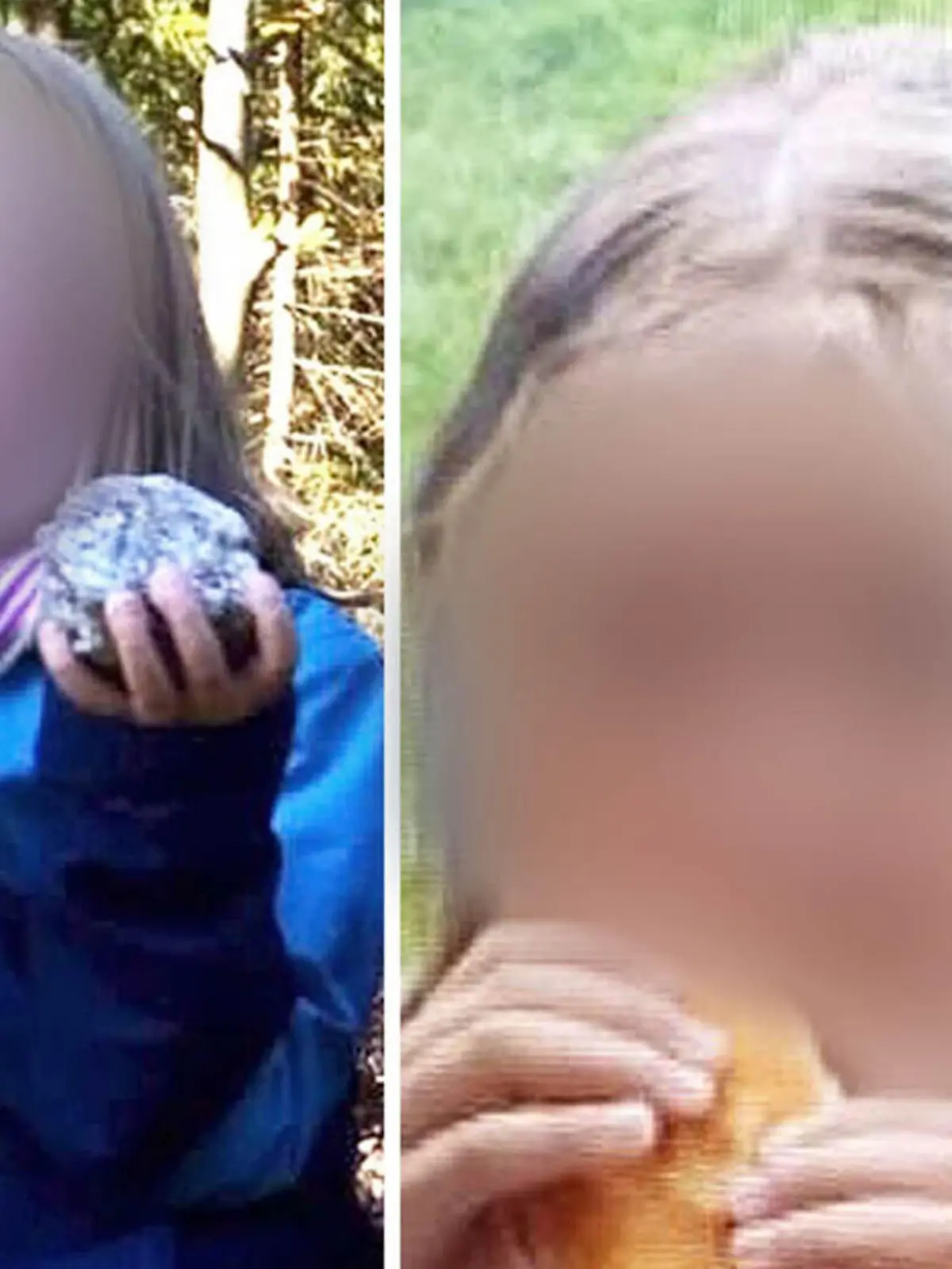 Achtjähriges Mädchen aus Berlin wird nach Wanderung an Deutsch-Tschechischer Grenze vermisst.