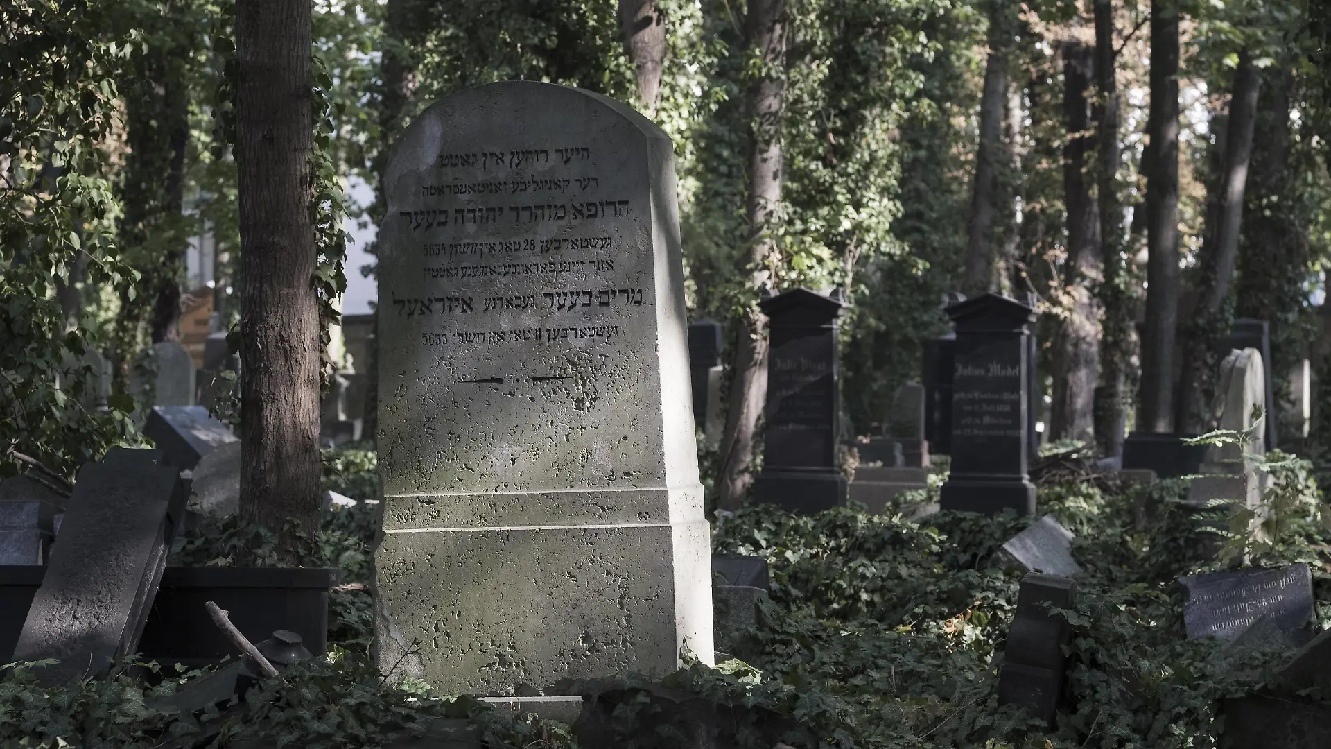 Jüdischer Friedhof an der Schönhauser Allee in Berlin Prenzlauer Berg Jüdischer Friedhof in Berlin-Prenzlauer Berg *** Jewish cemetery at Schönhauser Allee in Berlin Prenzlauer Berg Jewish cemetery in Berlin Prenzlauer Berg