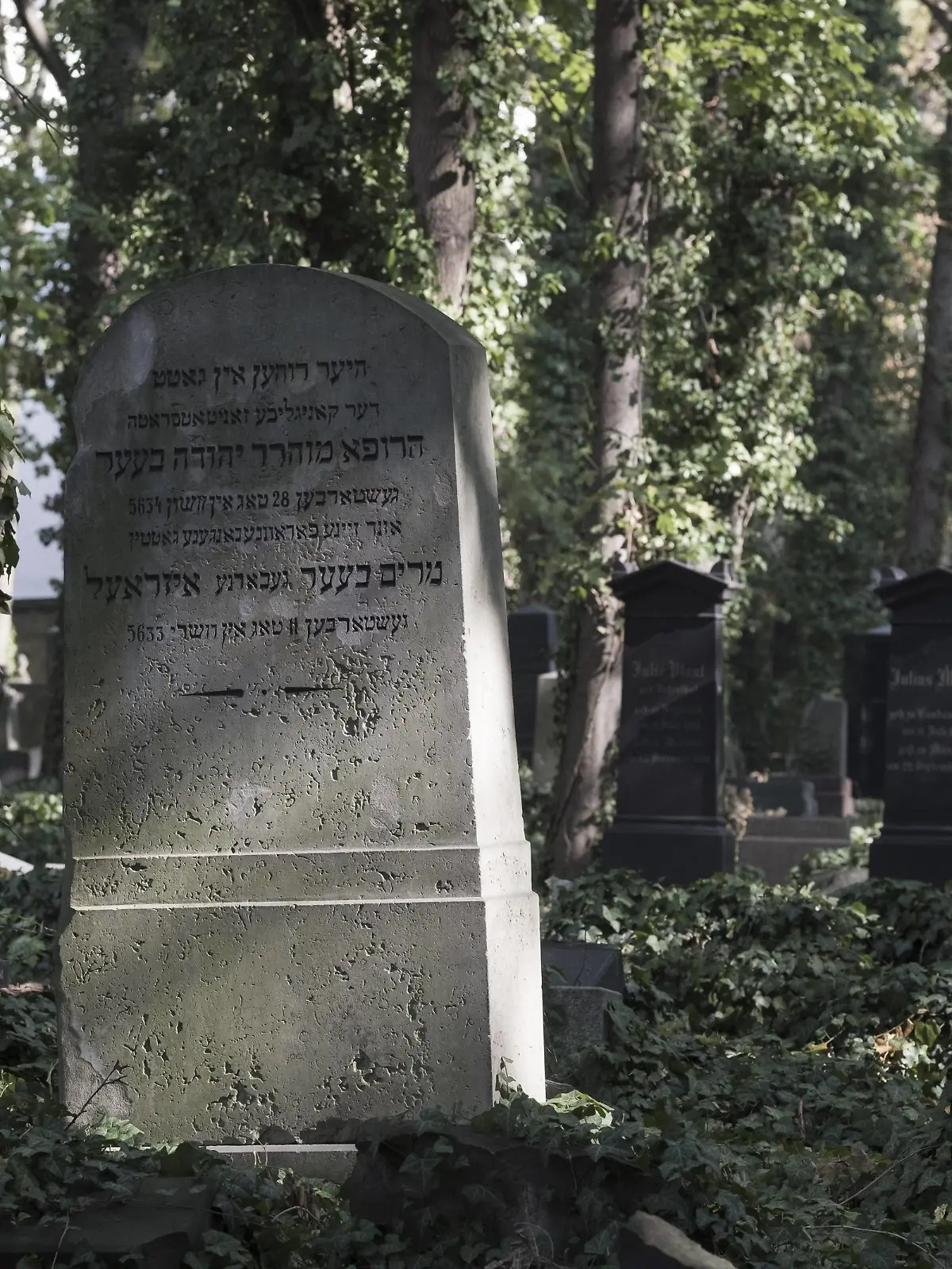 Jüdischer Friedhof an der Schönhauser Allee in Berlin Prenzlauer Berg Jüdischer Friedhof in Berlin-Prenzlauer Berg *** Jewish cemetery at Schönhauser Allee in Berlin Prenzlauer Berg Jewish cemetery in Berlin Prenzlauer Berg  