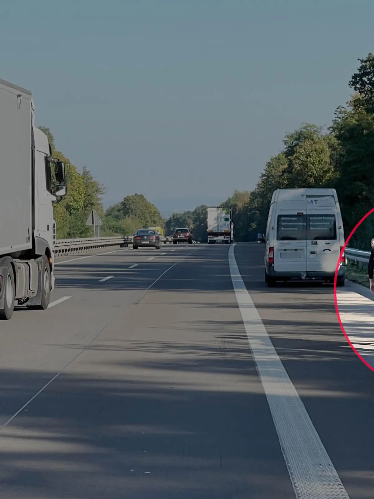 Eine Frau kann das Pferd auf der Autobahn A553 am Seitenstreifen beruhigen.