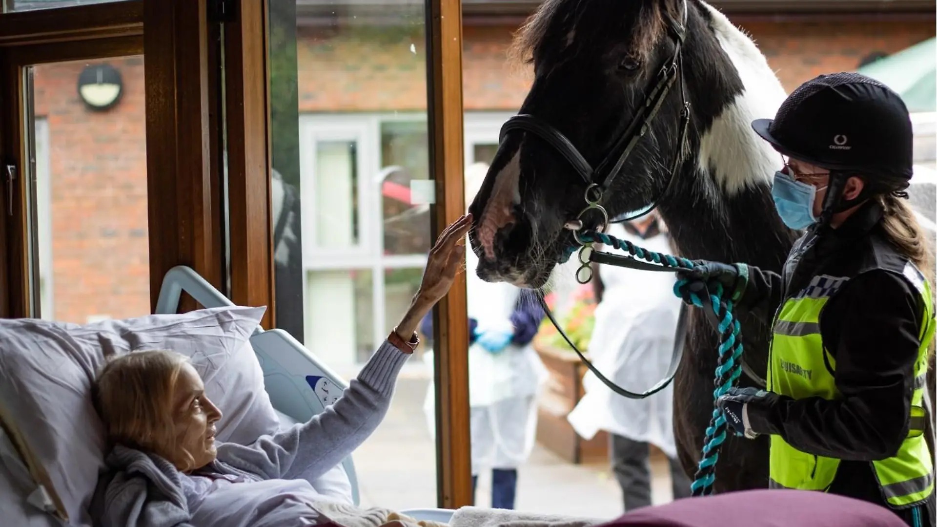 A Chester hospice resident was visited by some very special guests when staff surprised her with her beloved pet horse and dogs.

Jan Holman, 68, had spent four weeks at the Hospice of the Good Shephard in Chester and had been desperately missing her two Cavalier King Charles Spaniels Monty and Rowley along with Bob, a piebald Cob.

Staff decided to surprise her by putting her furry friends on the list to give Jan a heartfelt reunion with her beloved trio.

Credit: CheshireLive/MEN