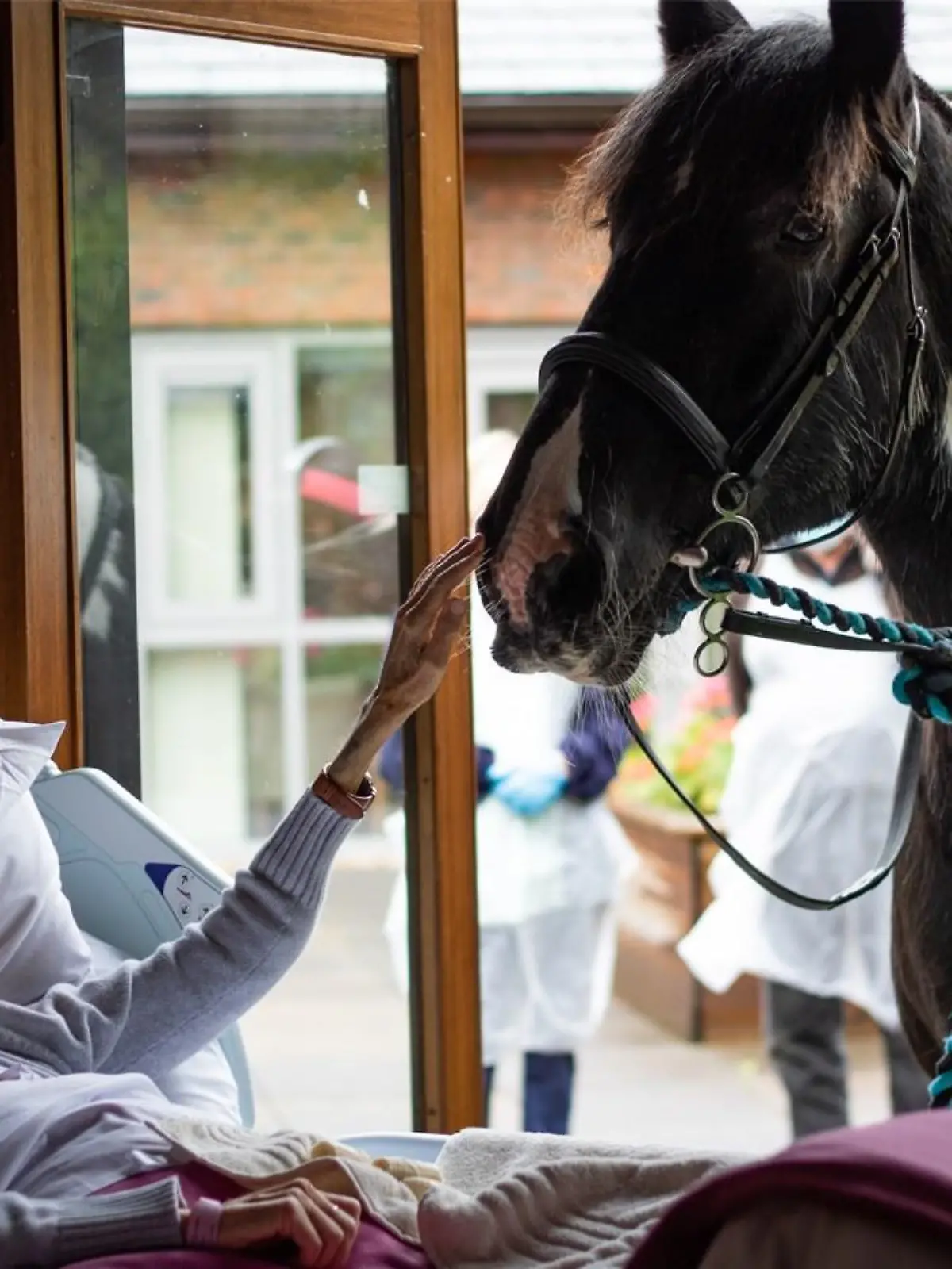 A Chester hospice resident was visited by some very special guests when staff surprised her with her beloved pet horse and dogs.

Jan Holman, 68, had spent four weeks at the Hospice of the Good Shephard in Chester and had been desperately missing her two Cavalier King Charles Spaniels Monty and Rowley along with Bob, a piebald Cob.

Staff decided to surprise her by putting her furry friends on the list to give Jan a heartfelt reunion with her beloved trio.

Credit: CheshireLive/MEN