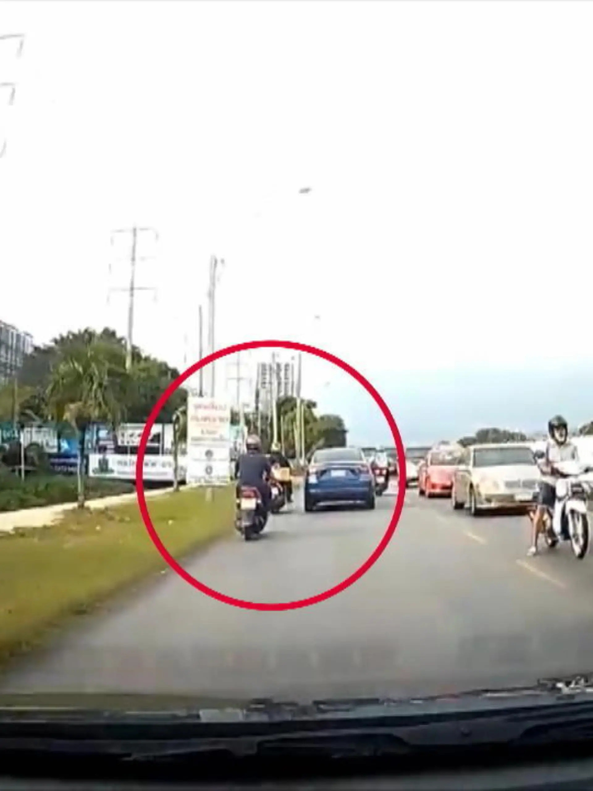 Bild zu: "Rollerfahrer katapultiert sich ins Aus"
