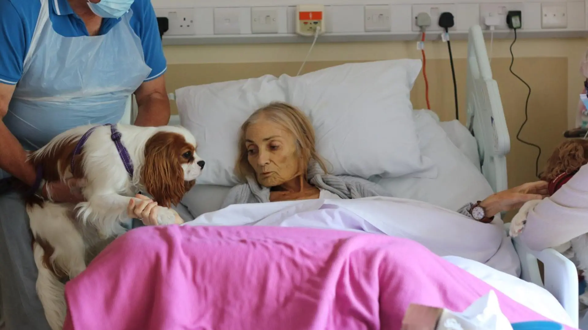 A Chester hospice resident was visited by some very special guests when staff surprised her with her beloved pet horse and dogs.

Jan Holman, 68, had spent four weeks at the Hospice of the Good Shephard in Chester and had been desperately missing her two Cavalier King Charles Spaniels Monty and Rowley along with Bob, a piebald Cob.

Staff decided to surprise her by putting her furry friends on the list to give Jan a heartfelt reunion with her beloved trio.

Credit: CheshireLive/MEN