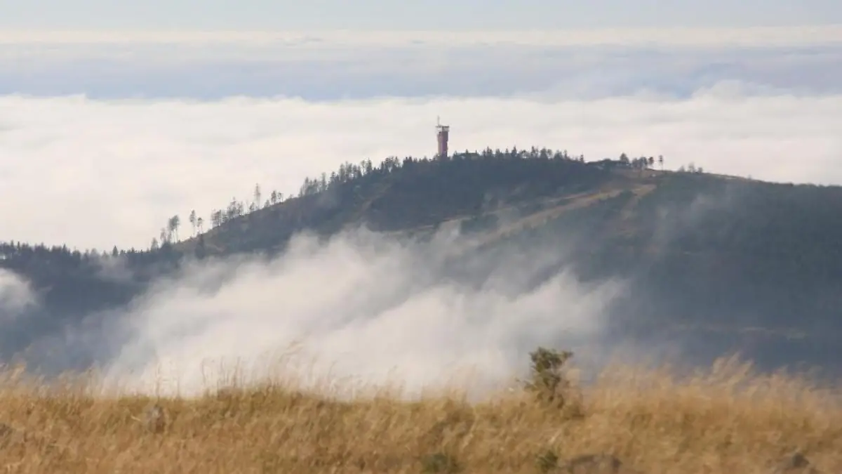 Blick auf den Wurmberg vom Brockengipfel
