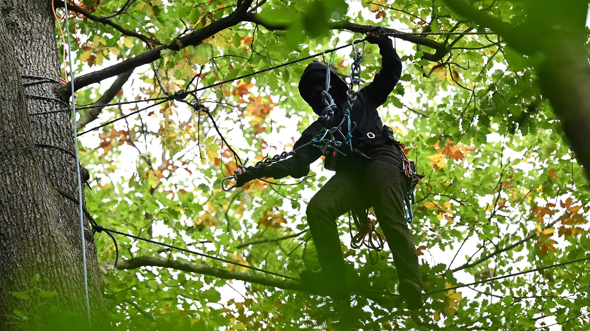 dpatopbilder - 07.10.2021, Hessen, Frankfurt/Main: Eine Aktivistin bewegt sich in einem Wald am Teufelsbruch im Osten der Stadt an Seilen zwischen den Bäumen. Umweltaktivisten protestieren mit einer Waldbesetzung gegen die für den Riederwaldtunnel geplante Rodung des Waldes. Dafür haben sie Baumplattformen in bis zu 15 Metern Höhe errichtet. In der Zeit vom 1. Oktober 2021 bis 28. Februar 2022 sollen alle Bäume im Trassenbereich der A66 im Fechenheimer Wald, im Erlenbruch und im Teufelsbruch gefällt werden. Foto: Arne Dedert/dpa +++ dpa-Bildfunk +++