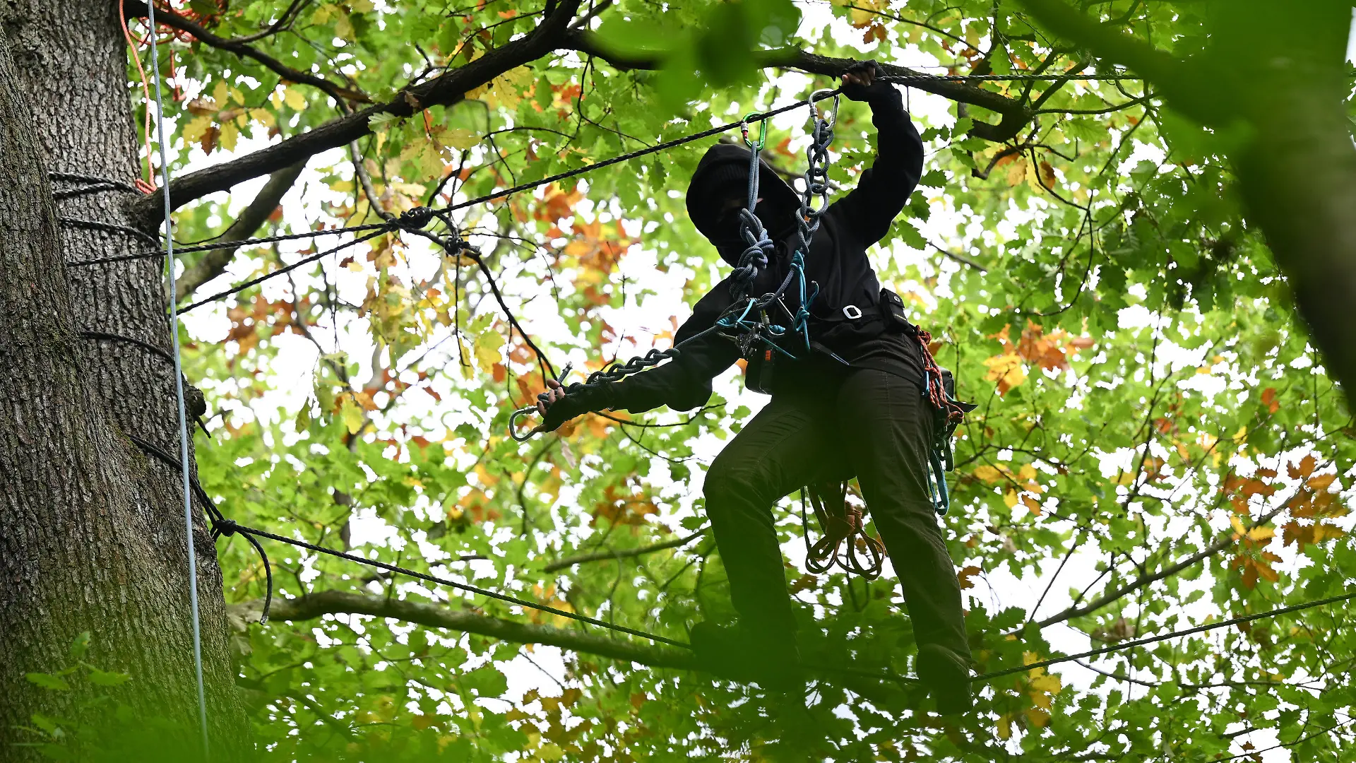 dpatopbilder - 07.10.2021, Hessen, Frankfurt/Main: Eine Aktivistin bewegt sich in einem Wald am Teufelsbruch im Osten der Stadt an Seilen zwischen den Bäumen. Umweltaktivisten protestieren mit einer Waldbesetzung gegen die für den Riederwaldtunnel geplante Rodung des Waldes. Dafür haben sie Baumplattformen in bis zu 15 Metern Höhe errichtet. In der Zeit vom 1. Oktober 2021 bis 28. Februar 2022 sollen alle Bäume im Trassenbereich der A66 im Fechenheimer Wald, im Erlenbruch und im Teufelsbruch gefällt werden. Foto: Arne Dedert/dpa +++ dpa-Bildfunk +++