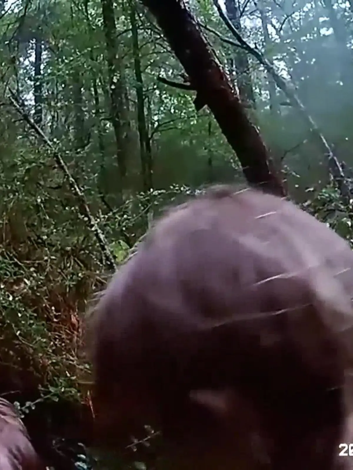 Polizist findet vermisste Kinder - Bodycam-Aufnahmen