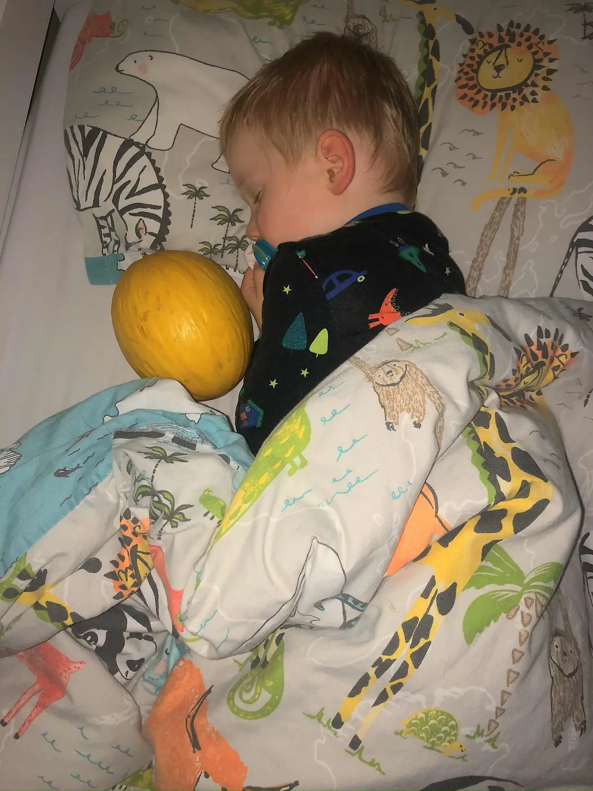 Unerwartete Einschlaf-Hilfe: Jamie Brown kuschelt mit seinem neuen Kumpel, Melone "Mel".