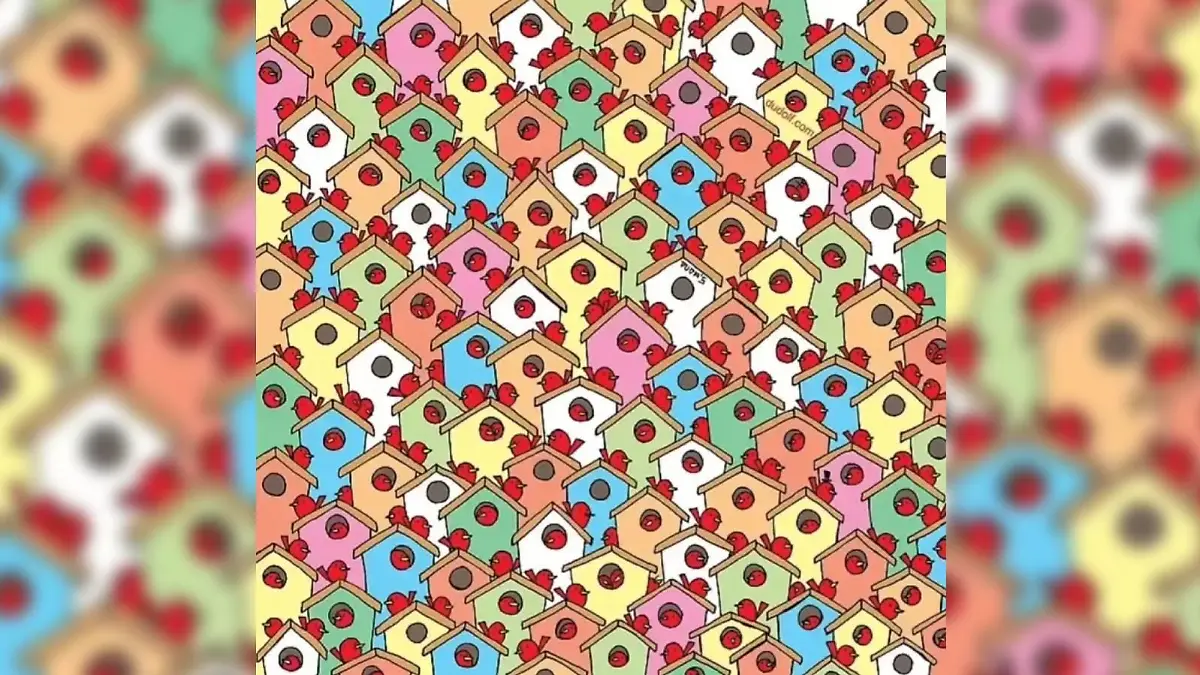 Suchbild