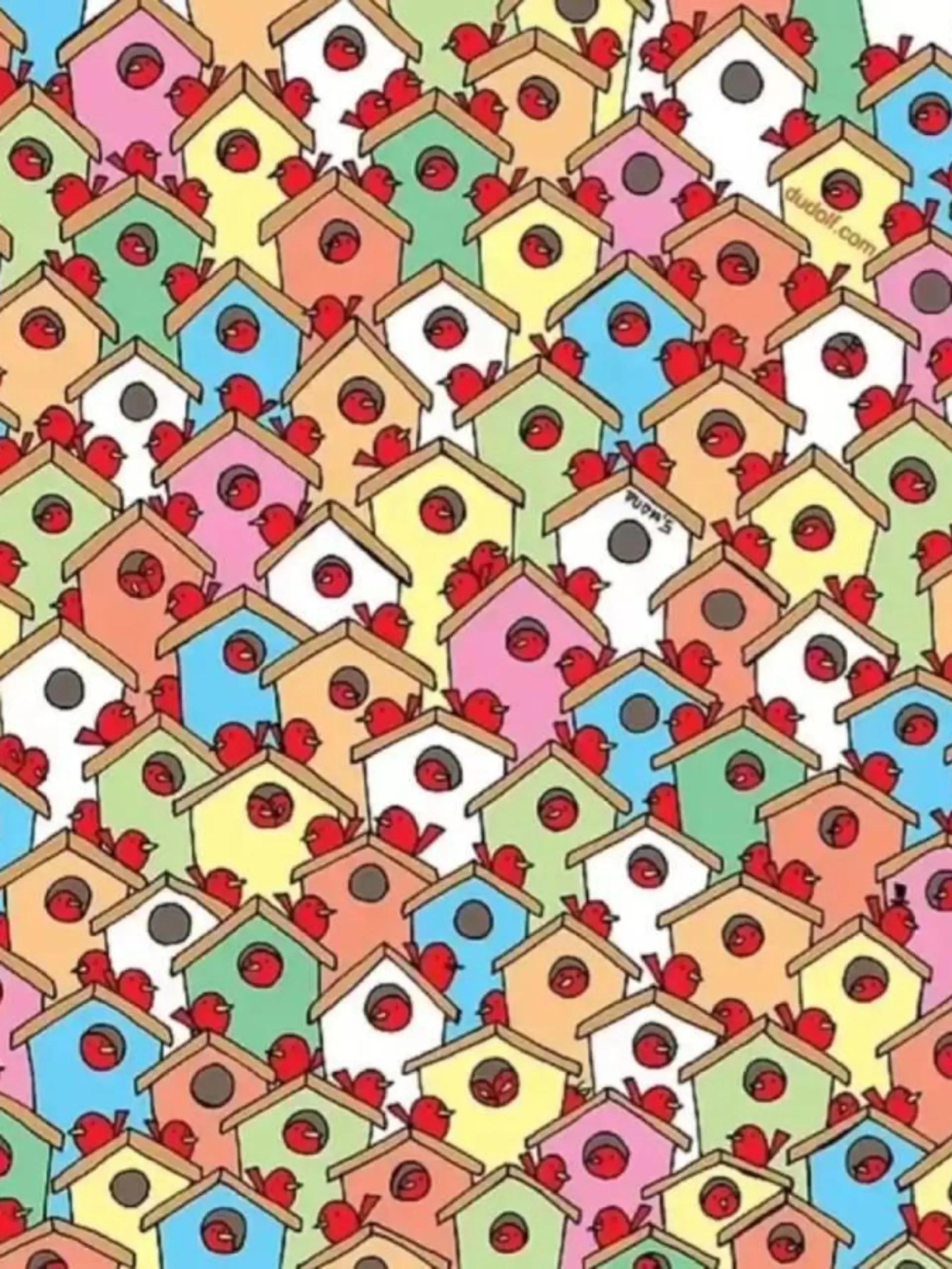 Suchbild