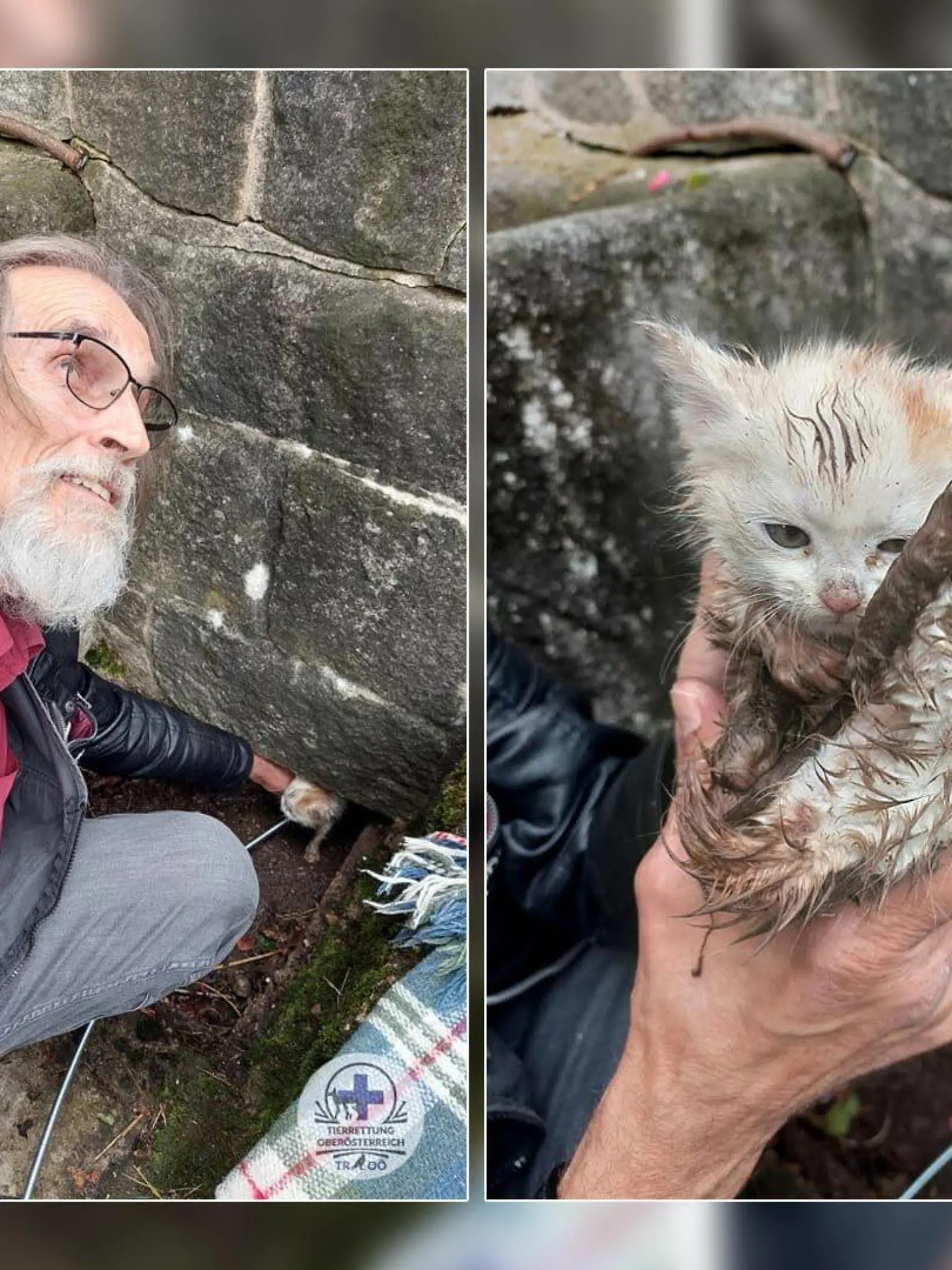 Die fleißigen Helfer der Tierrettung Oberösterreich haben ein kleines Kätzchen aus einem Sickerschacht retten können.
