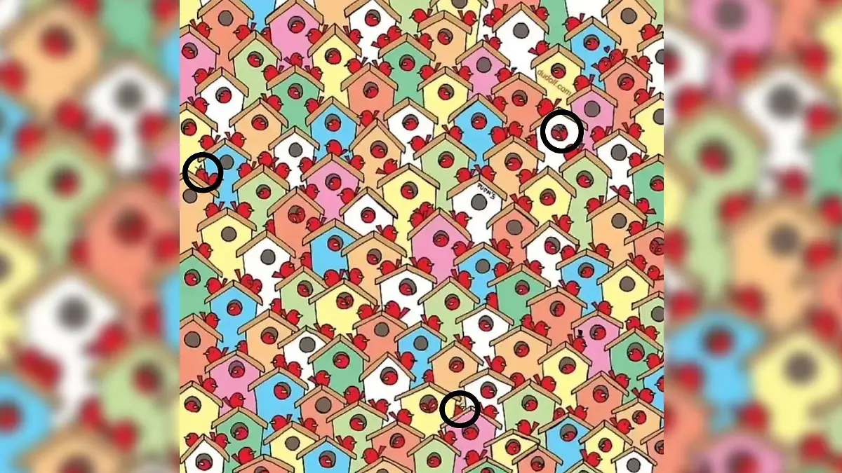 Auflösung Suchbild