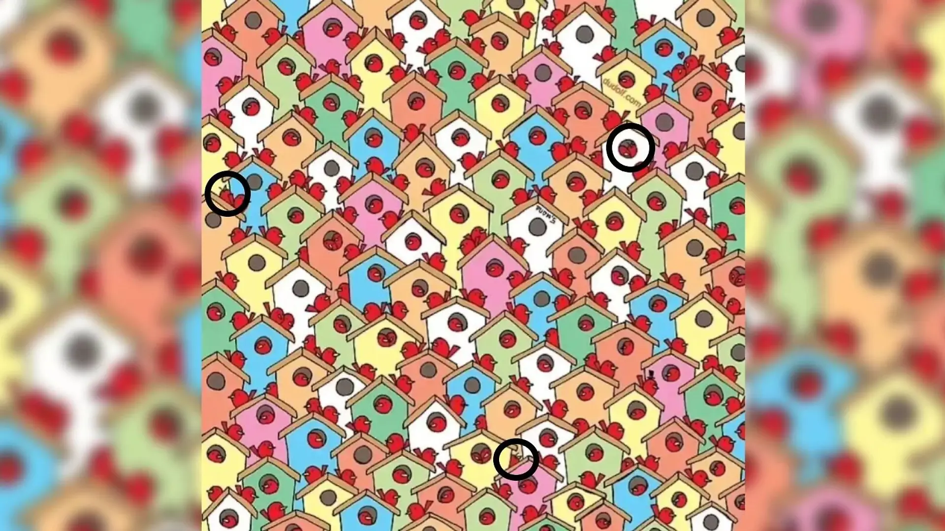 Auflösung Suchbild