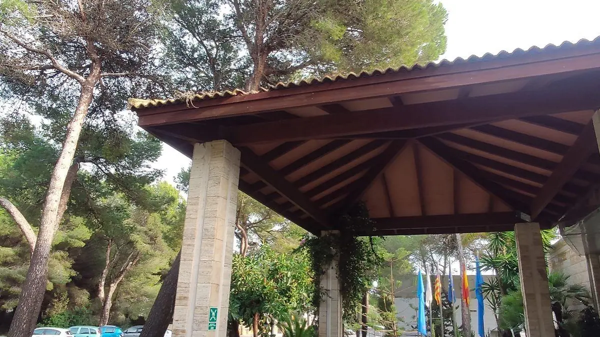 Auf Mallorca kam es am Freitag zu einem schrecklichen Unfall: Ein Baby starb, nachdem Teile eines Bühnendach auch es gestürzt waren.
