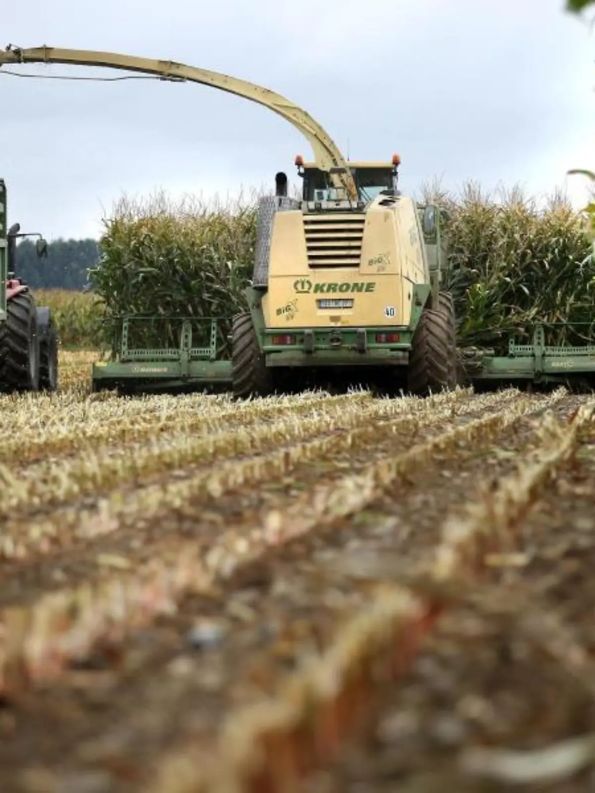 Maishäcksler und Traktor bei der Ernte