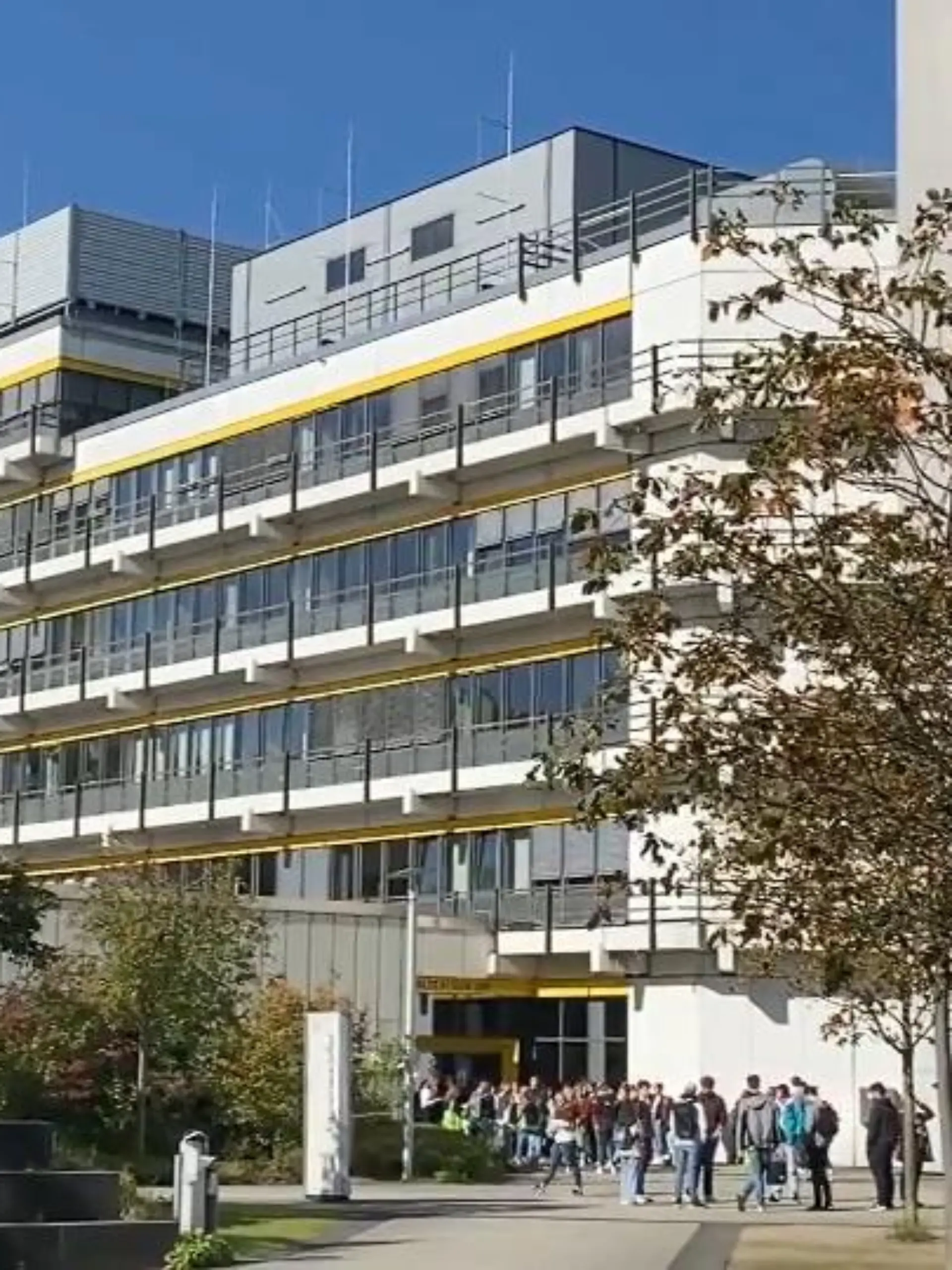 Bild zu: "Angestellte soll Noten verkauft haben"