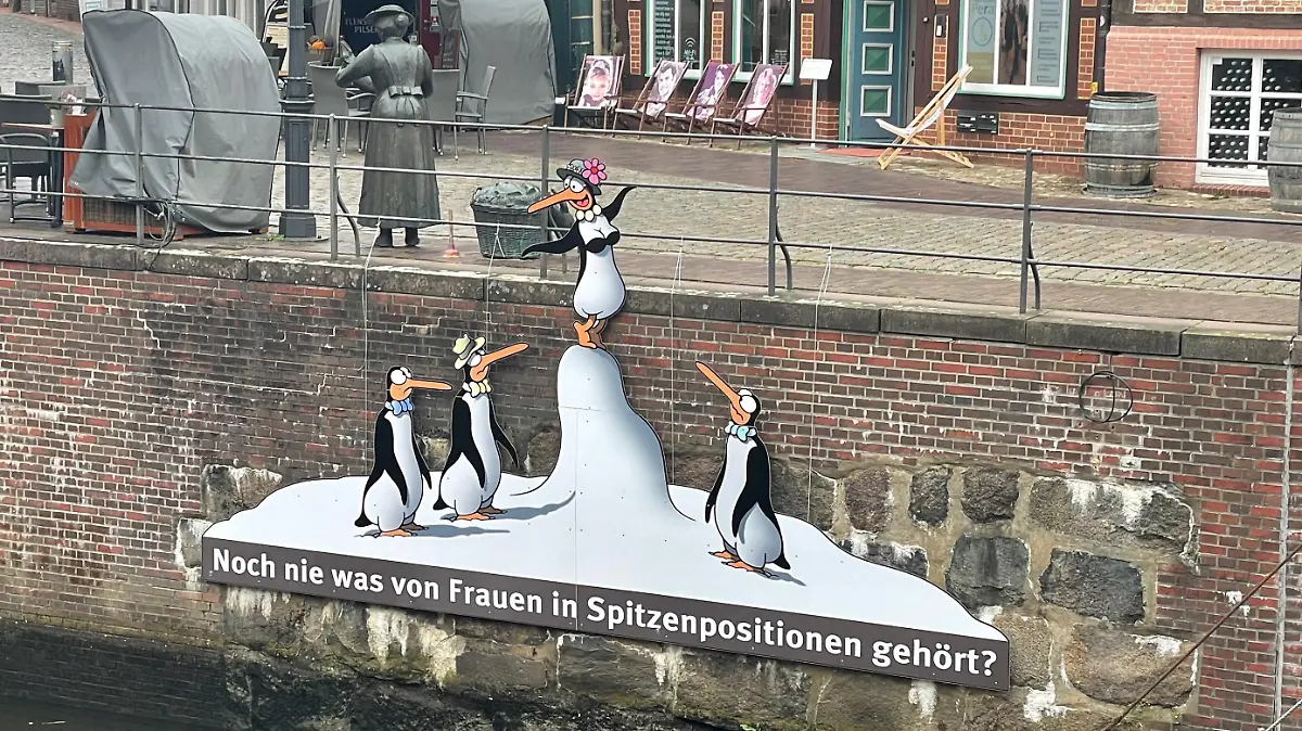 Der Pinguin Cartoon von Künstler Tetsche sorgt in Stade für Zoff.