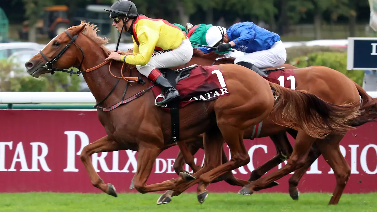 Mandatory Credit: Photo by Frank Sorge/racingfotos.com/Shutterstock 12522187ae , Longchamp, Torquator Tasso with Rene Piechulek wins the Prix de l Arc de Triomphe at Longchamp racecourse, Paris. Horse Racing - 03 Oct 2021 Horse Racing - 03 Oct 2021 PUBLICATIONxINxGERxSUIxAUTXHUNxGRExMLTxCYPxROMxBULxUAExKSAxONLY Copyright: xFrankxSorge/racingfotos.com/Shutterstockx 12522187ae 