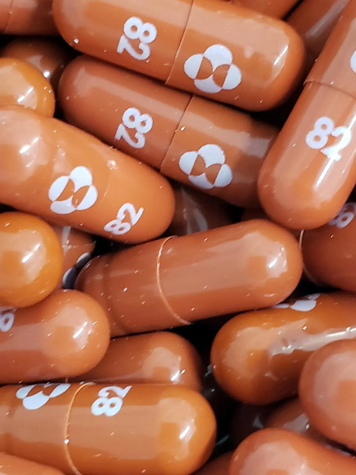 FILE PHOTO: An experimental COVID-19 treatment pill called molnupiravir being developed by Merck & Co Inc and Ridgeback Biotherapeutics LP, is seen in this undated handout photo released by Merck & Co Inc and obtained by Reuters May 17, 2021. Merck & Co Inc/Handout via REUTERS   ATTENTION EDITORS - THIS IMAGE HAS BEEN SUPPLIED BY A THIRD PARTY. MANDATORY CREDIT. THIS IMAGE WAS PROCESSED BY REUTERS TO ENHANCE QUALITY, AN UNPROCESSED VERSION HAS BEEN PROVIDED SEPARATELY./File Photo