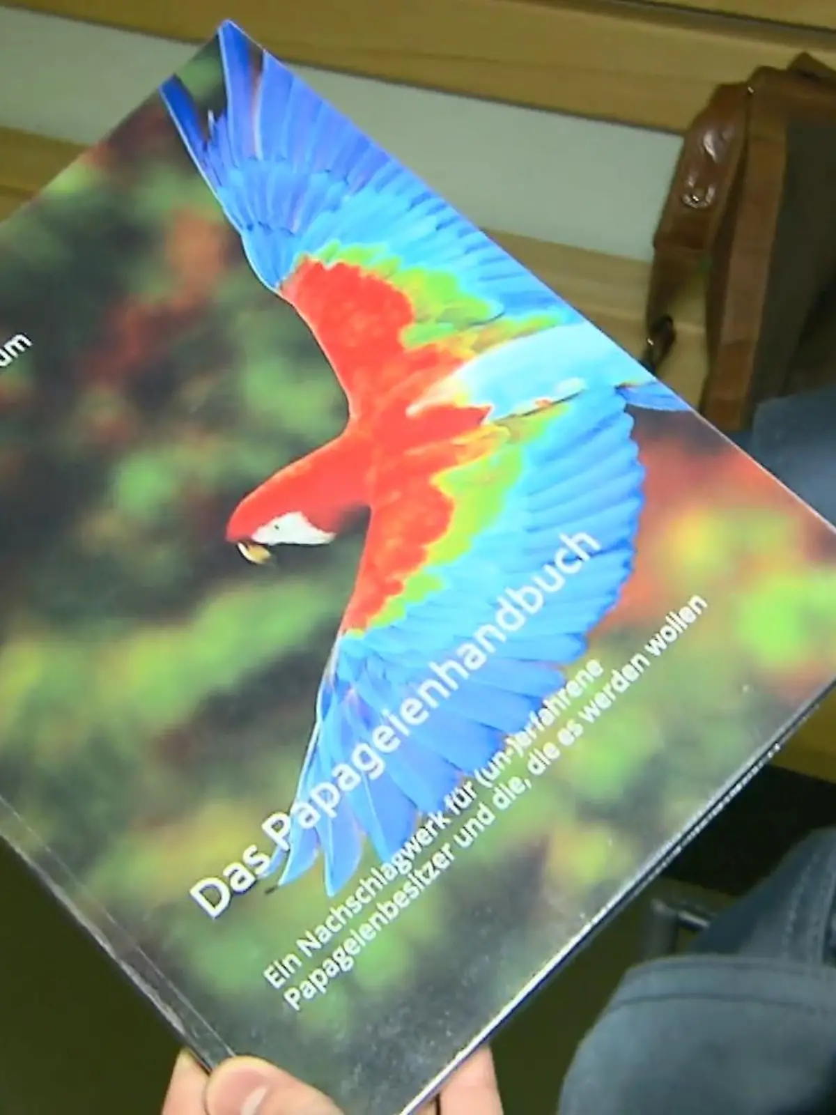 Bild zu: "Streit wegen Papageienbuch"