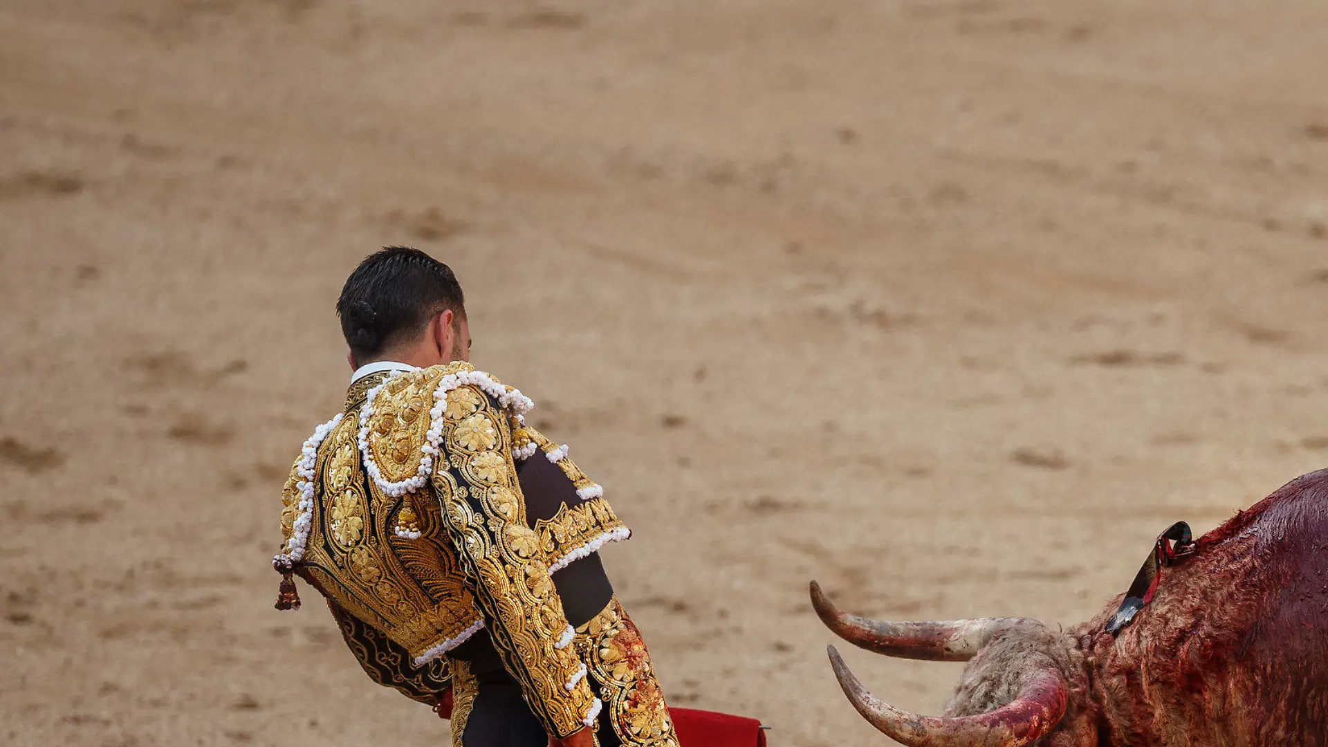 ARCHIV - Der spanische Stierkämpfer (Matador) Alejandro Talavante kämpft am 24.05.2017 in Madrid, Spanien, in der Las Ventas Stierkampfarena gegen einen Bullen der Nunez del Cubillo Ranch. (zu dpa "Stierkampf ohne Blut - Neues Balearen-Gesetz schützt Mallorcas Bullen" vom 24.07.2017) Foto: Daniel Ochoa De Olza/AP/dpa +++(c) dpa - Bildfunk+++