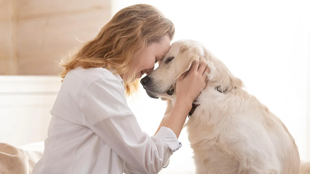 Young pretty woman in casual clothes hugging her beloved big white dog sitting on the sofa in the living room of her cozy country house. Animal communication concept