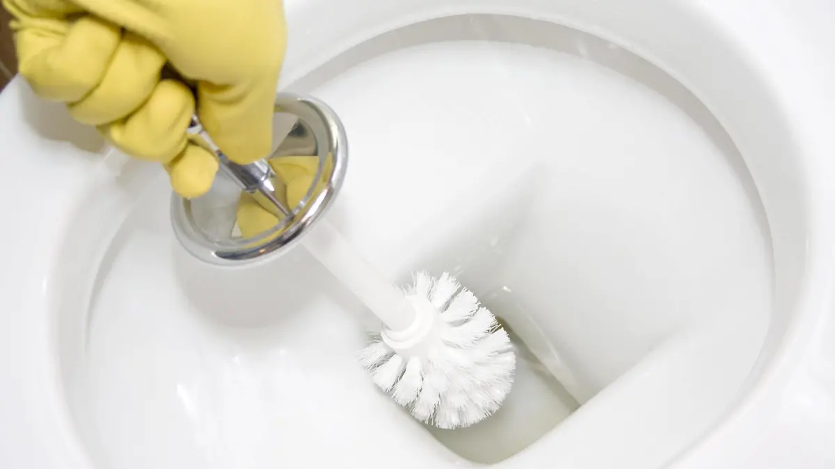 Cleaning the toilet Copyright: xNomadSoulx Panthermedia28088469