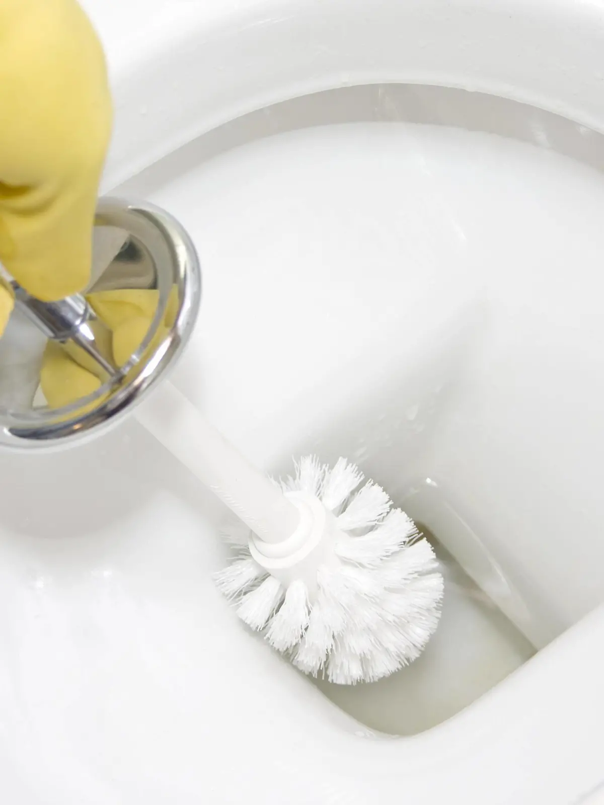 Cleaning the toilet Copyright: xNomadSoulx Panthermedia28088469