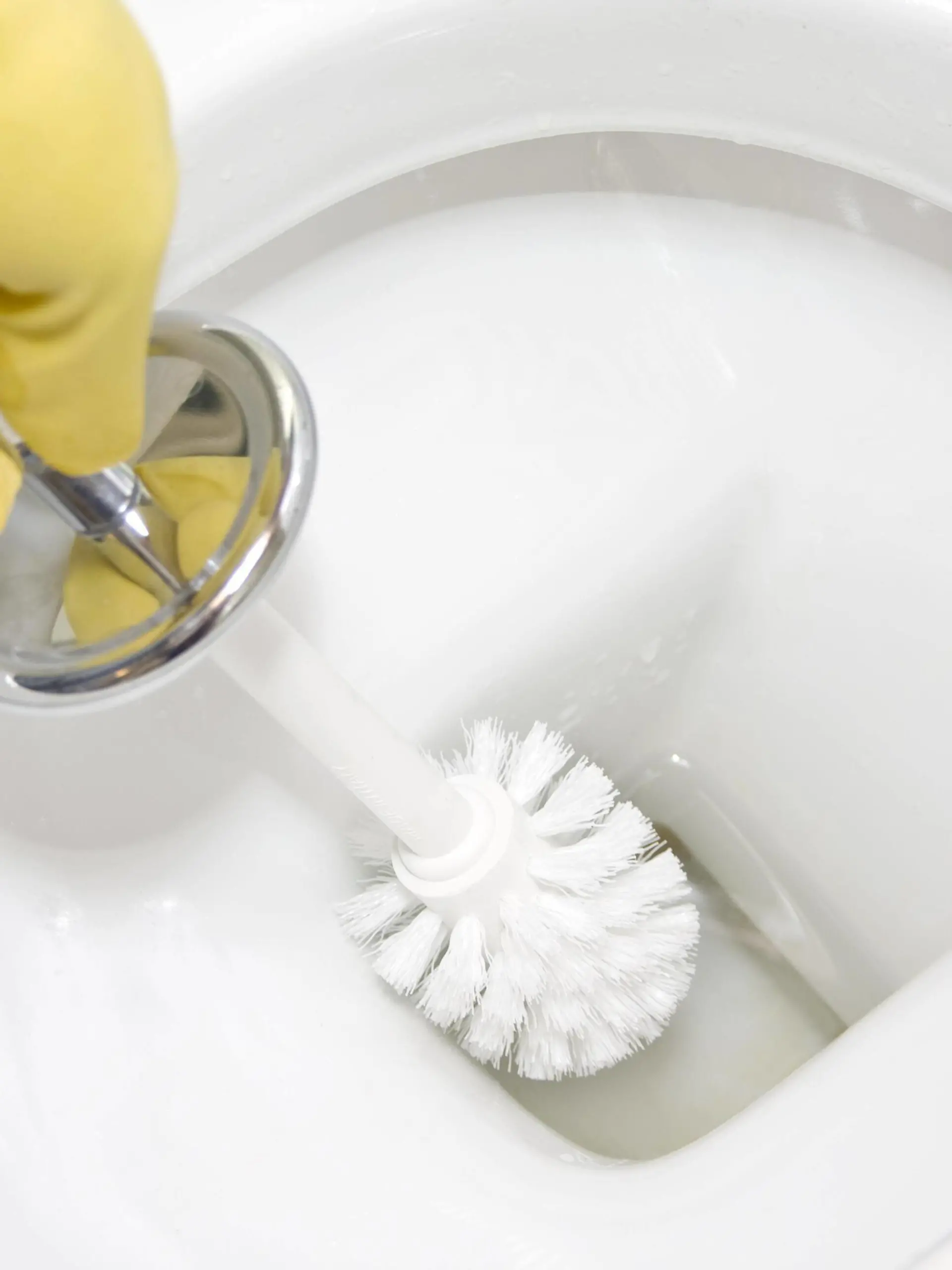 Cleaning the toilet Copyright: xNomadSoulx Panthermedia28088469