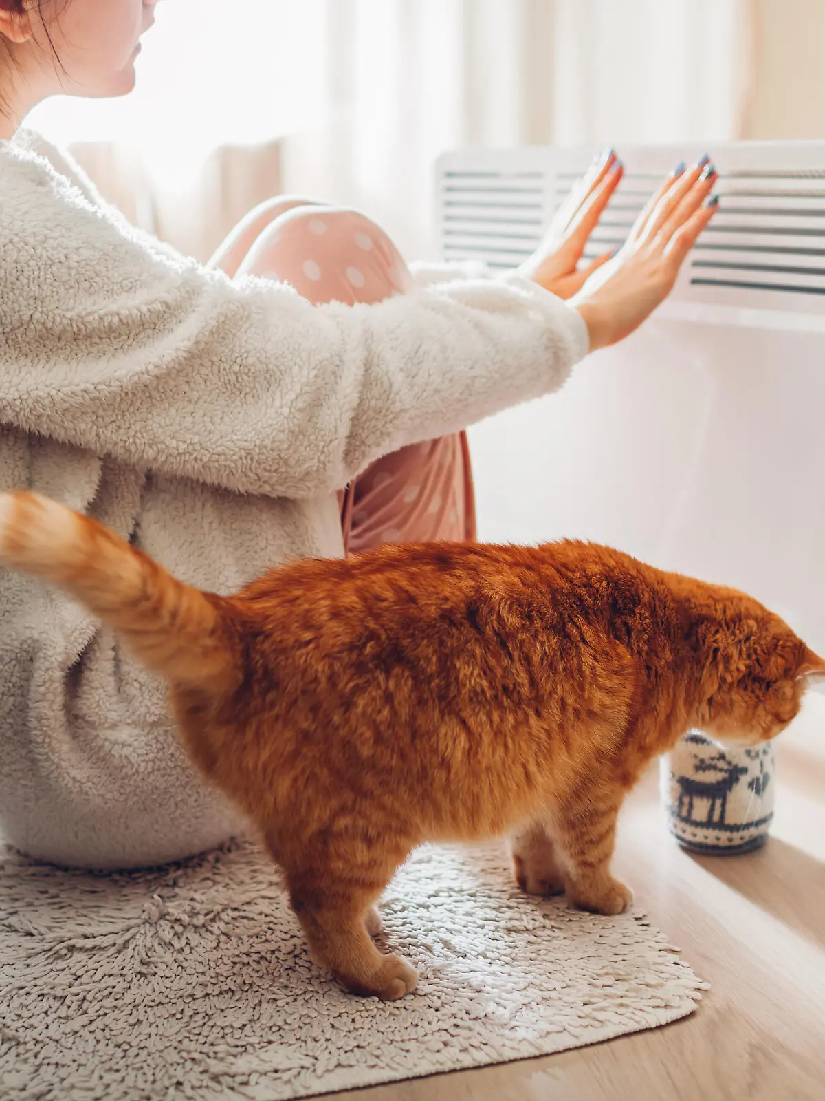Using heater at home in winter. Woman warming her hands sitting by device with cat and wearing warm clothes. Heating season.