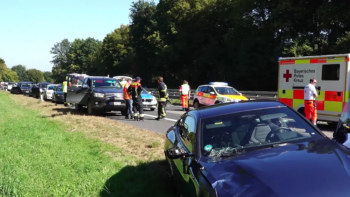 Hund Unfall A93
