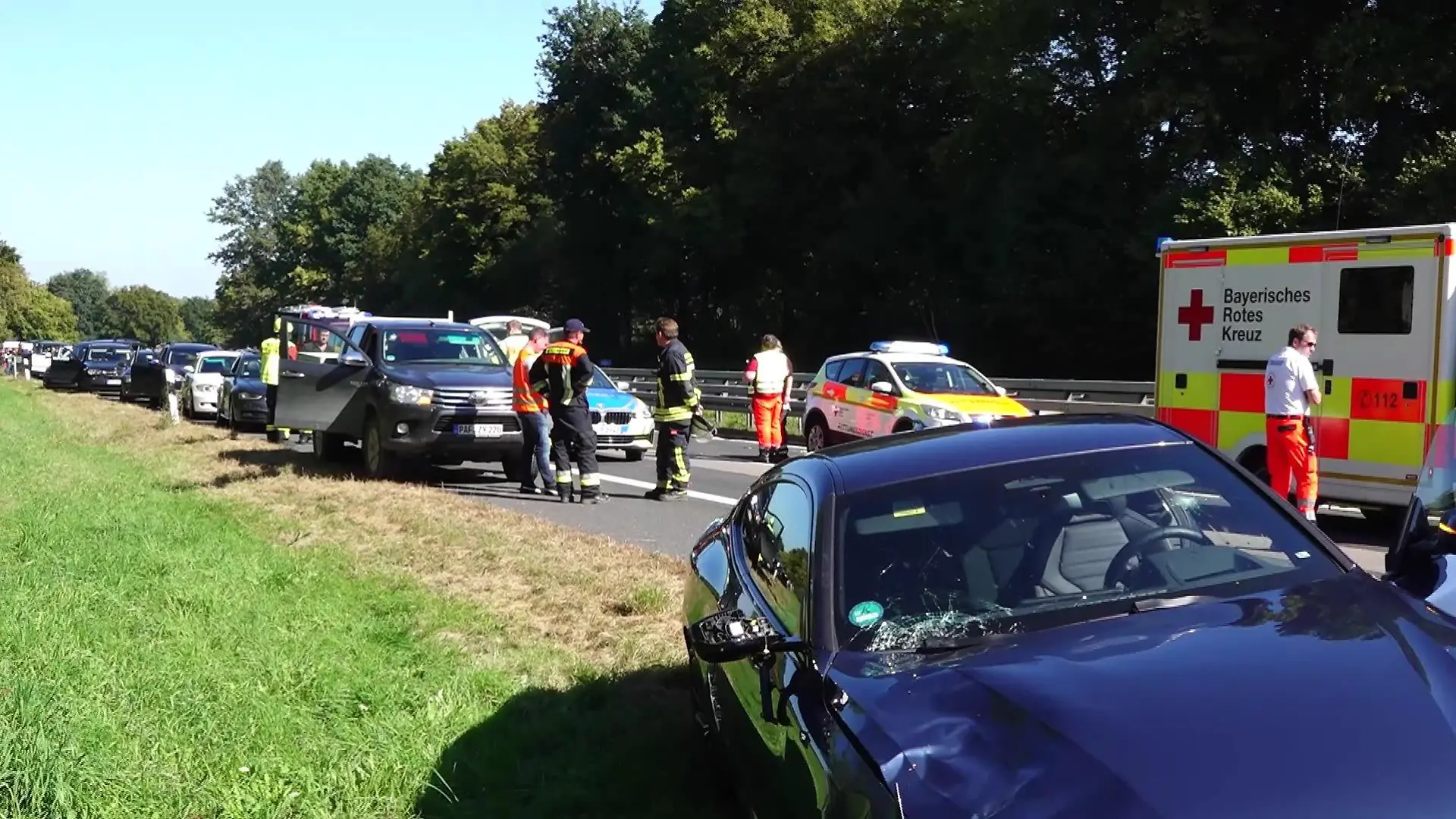 Hund Unfall A93