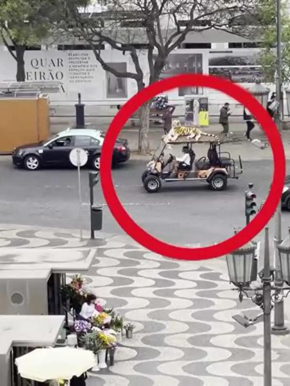 Diese Tigerattrappe auf einem Golfcaddy schockt betrunkenen Mann.