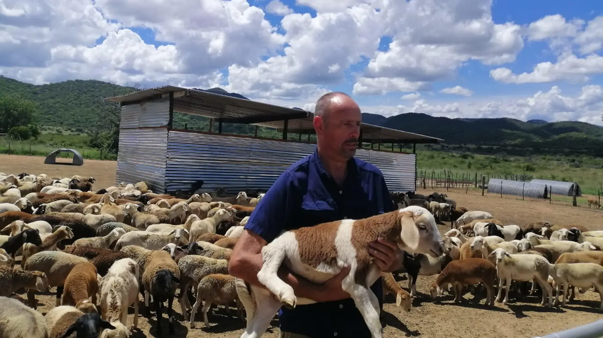 Rinderfarmer Emil kommt ist in Südafrika geboren