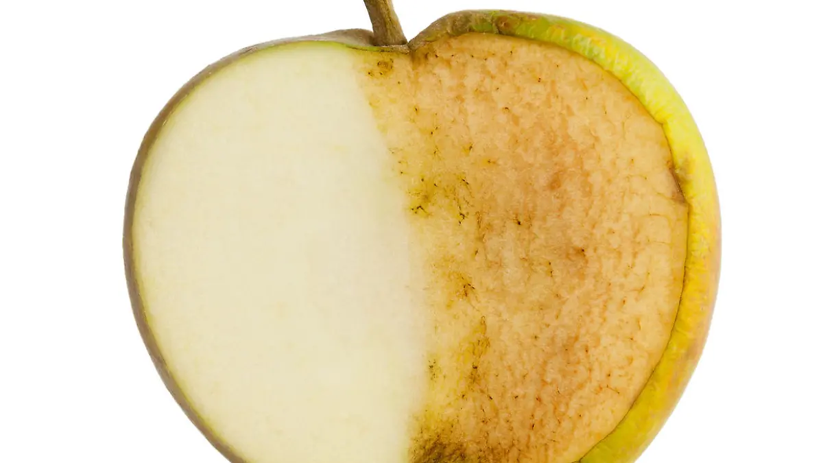 Apple sliced in half. Half fresh and half decayed on white background