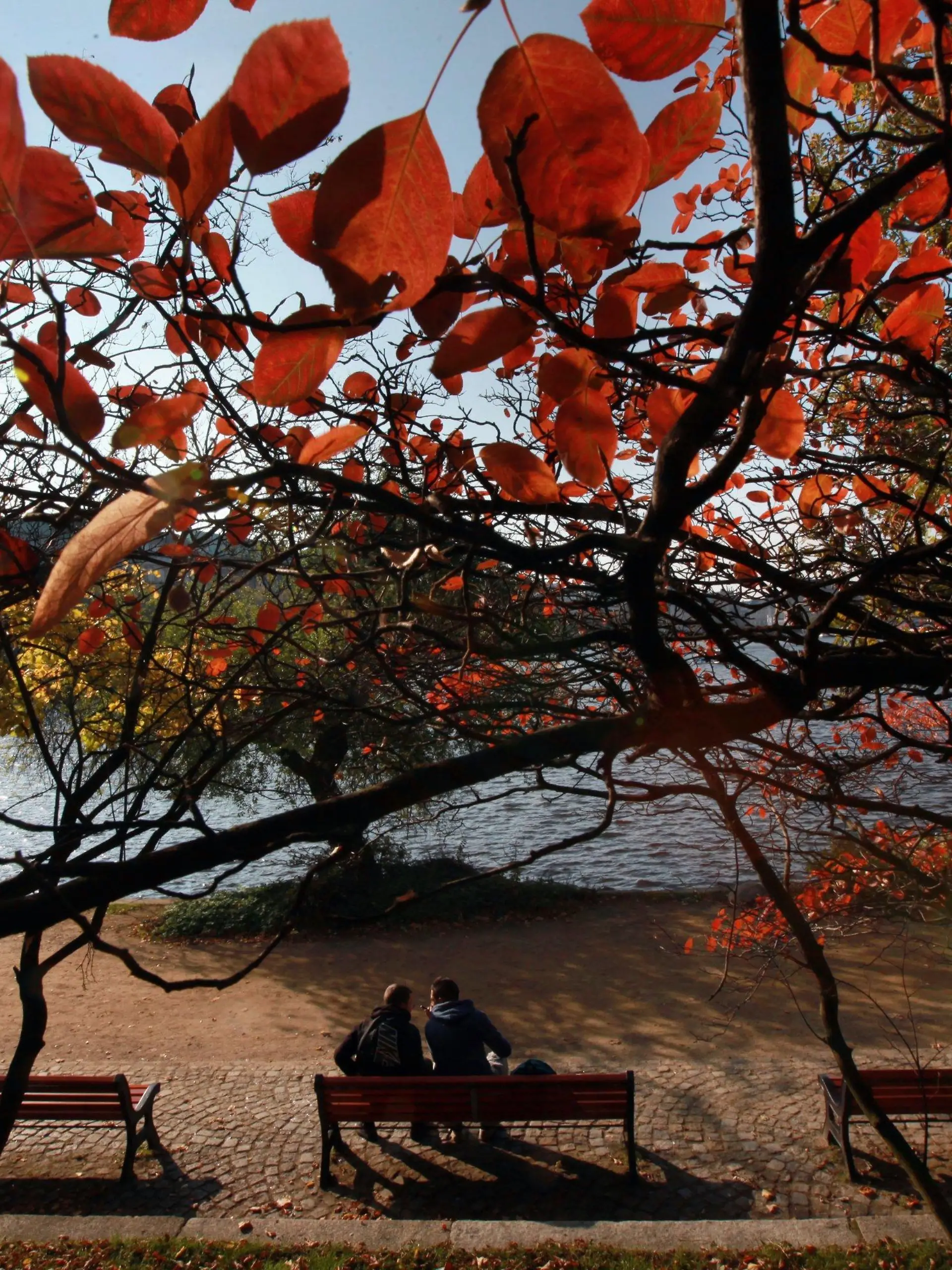 Bei strahlendem Sonnenschein genießen Passanten am Montag (18.10.2010) das Herbstwetter an der Binnenalster in Hamburg. In den kommenden Tagen soll das Wetter in Norddeutschland kühl und regnerisch werden. Foto: Ulrich Perrey dpa/lno  +++(c) dpa - Bildfunk+++