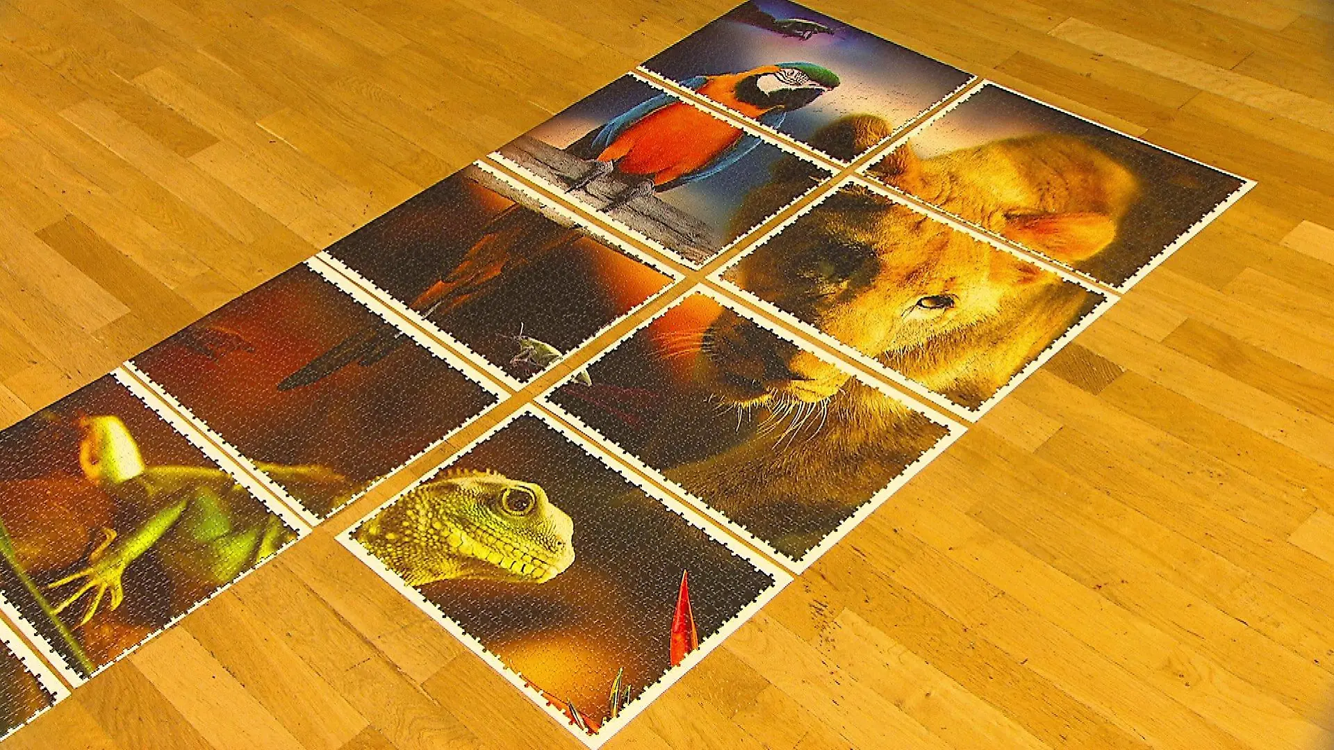 Das große Puzzle wurde in 112 kleinere Stücke aufgeteilt.