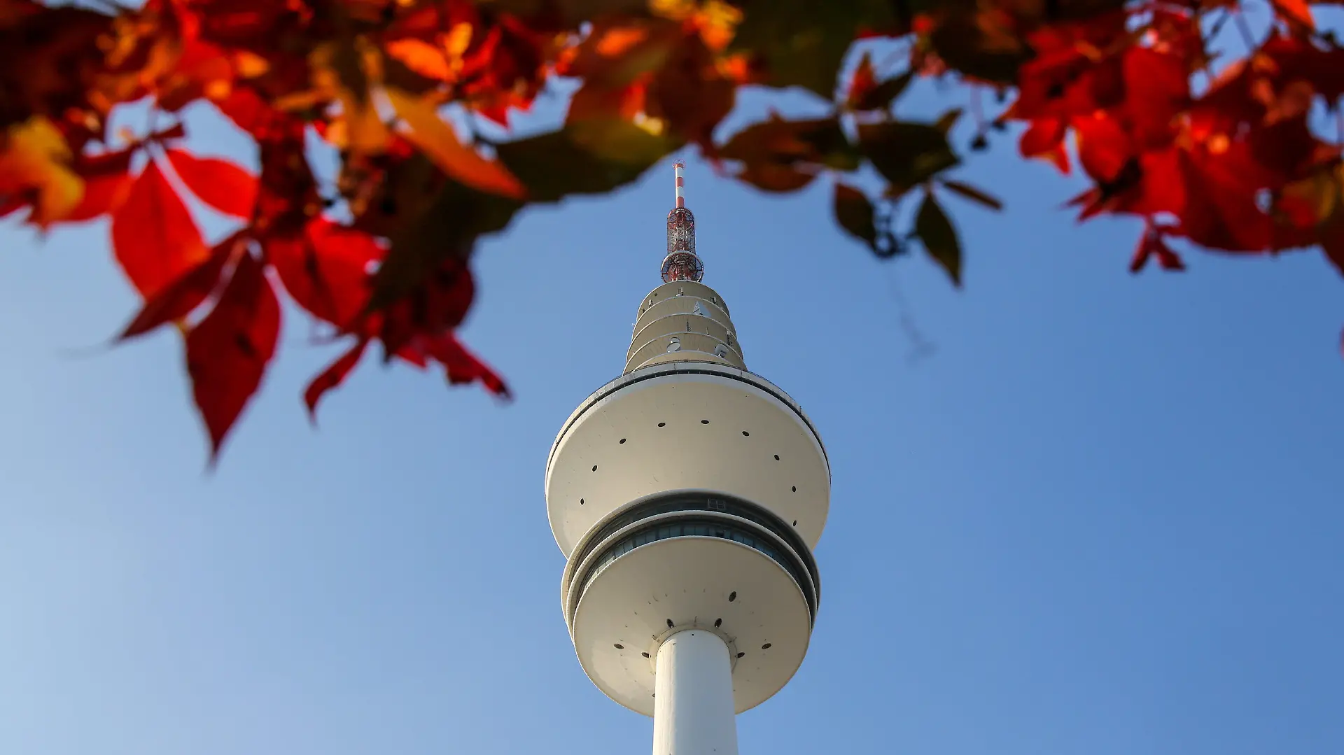 Die Sonne scheint am 04.10.2014 in Hamburg in der Nähe des Fernsehturms auf herbstlich gefärbtes Laub. Foto: Axel Heimken/dpa +++(c) dpa - Bildfunk+++