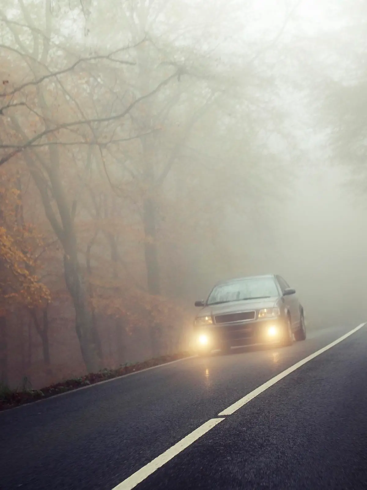 Auto im Herbst