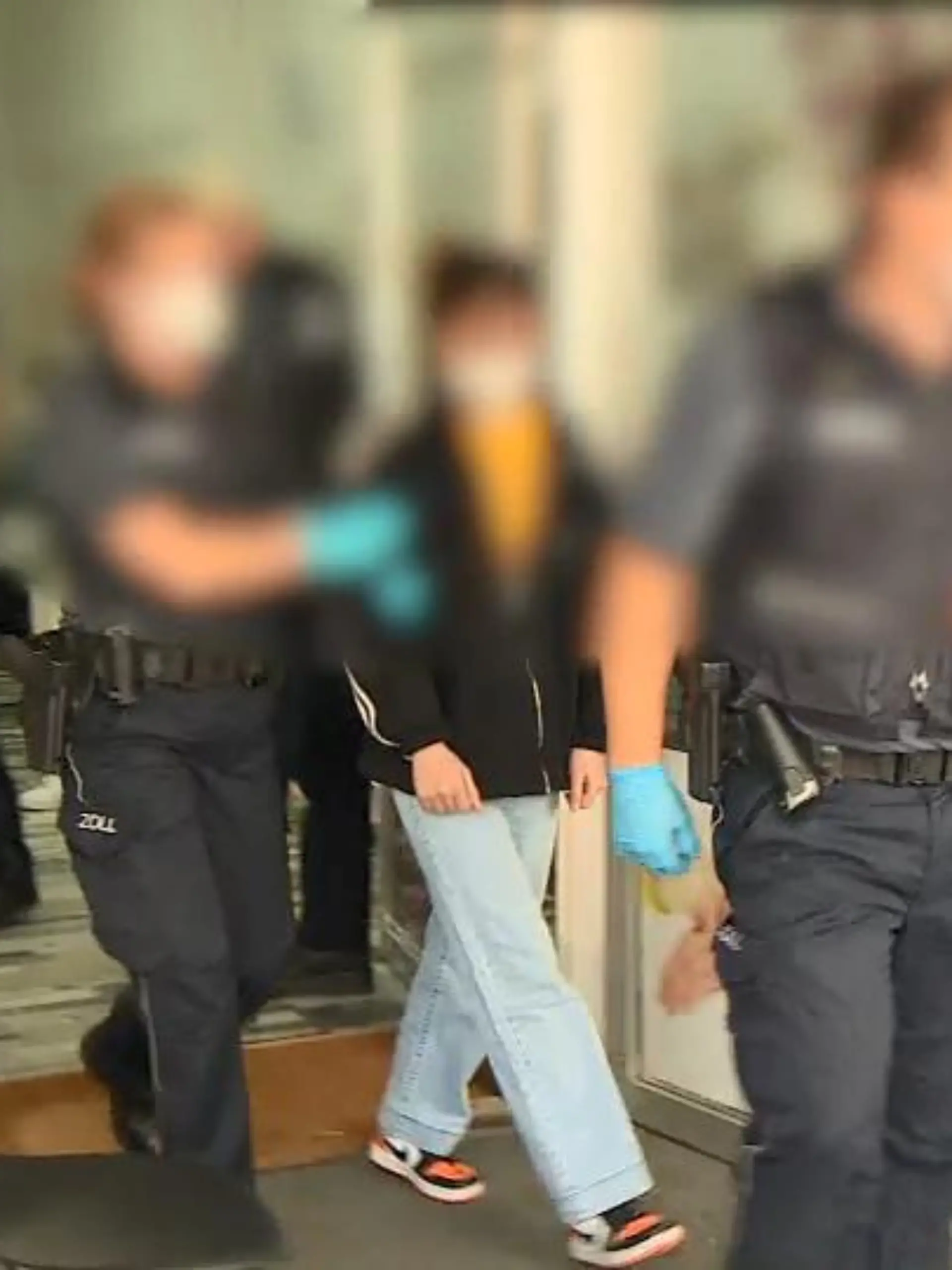 Bild zu: "Sieben Vietnamesen abgeführt"