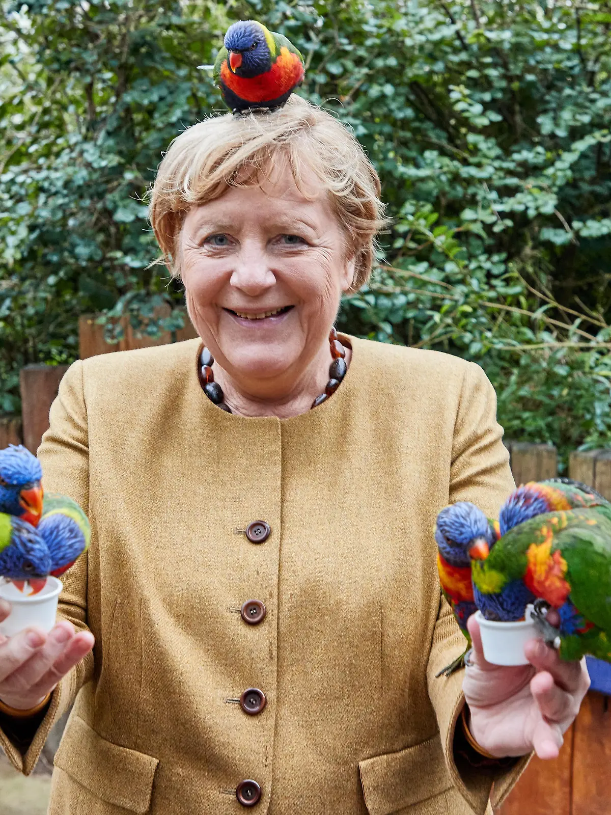 Angela Merkel (CDU), Bundeskanzlerin, füttert australische Loris im Vogelpark Marlow.